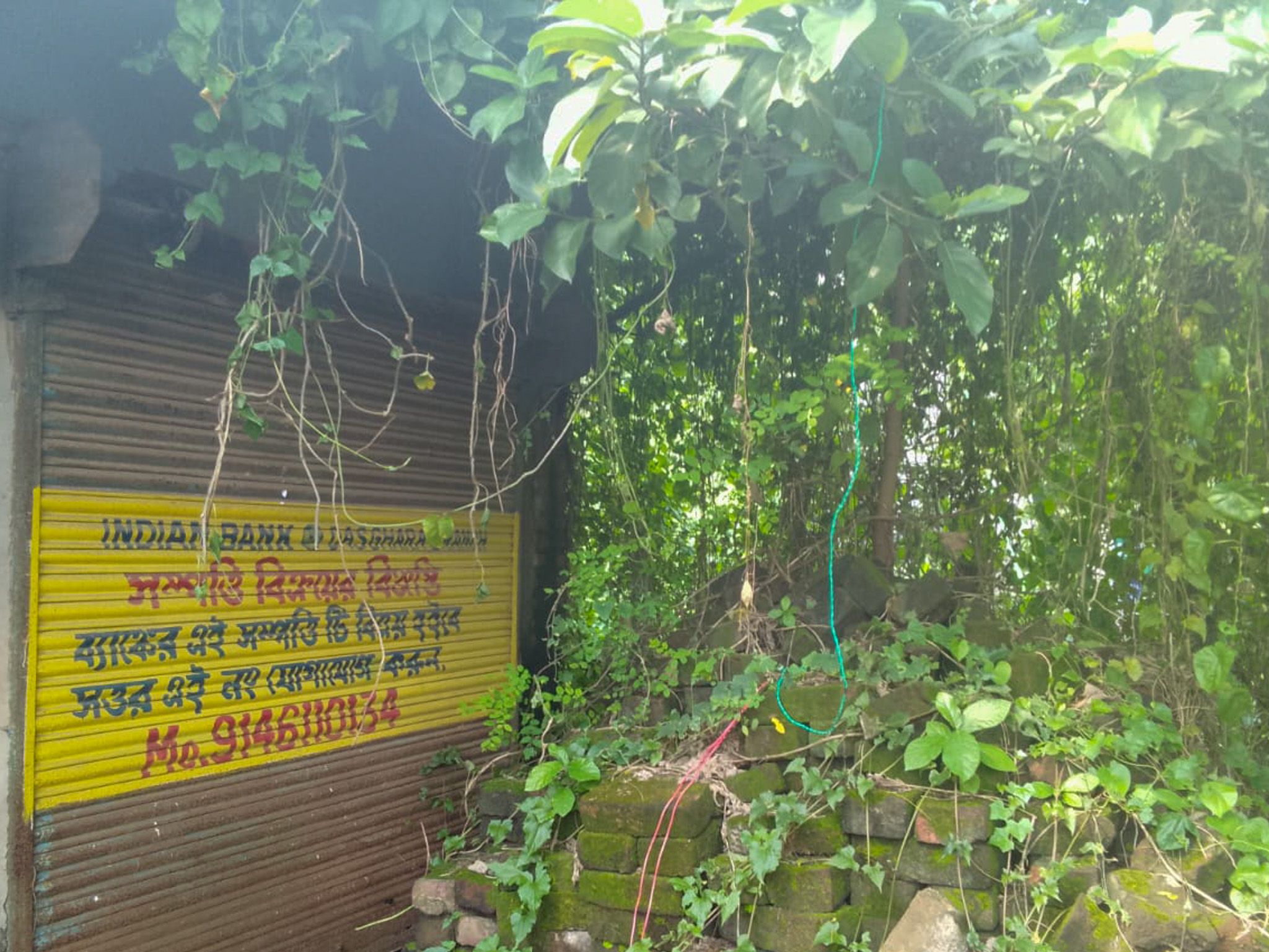Shops for sale in Champadanga/Tarkeshwar — photo 1