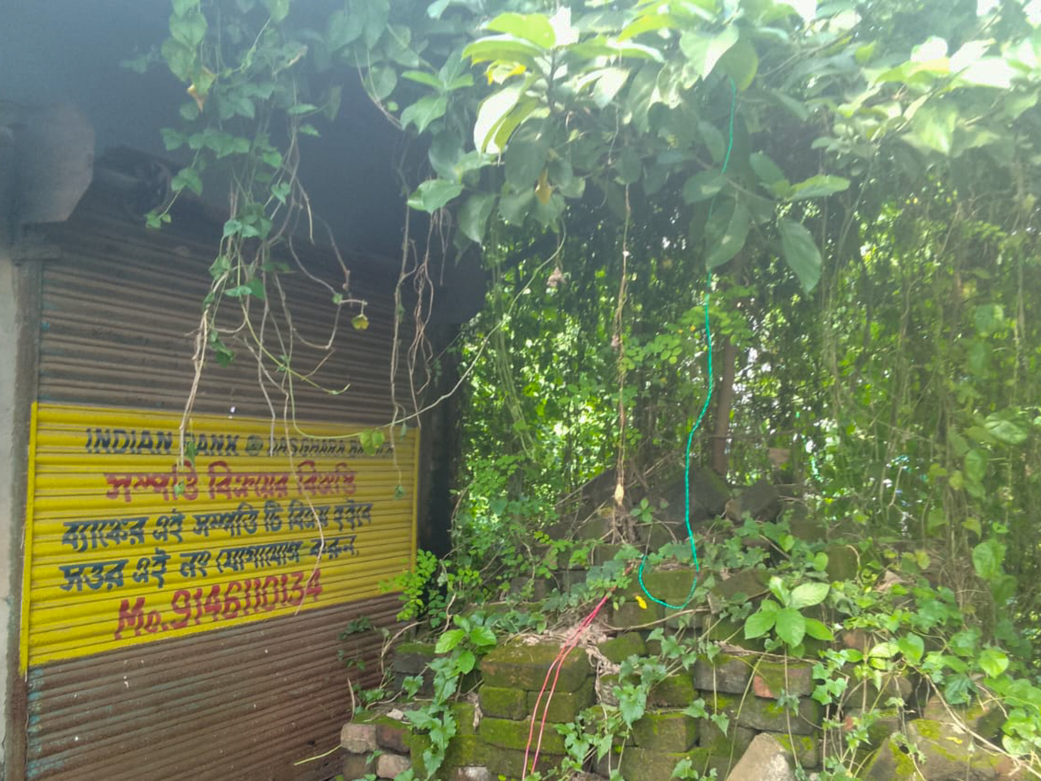 Shops for sale in Champadanga/Tarkeshwar — photo 2