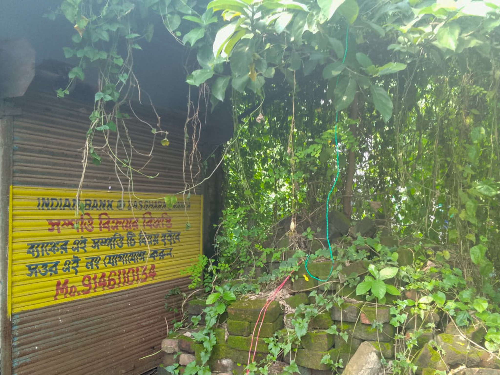 Shops for sale in Champadanga/Tarkeshwar — photo 3