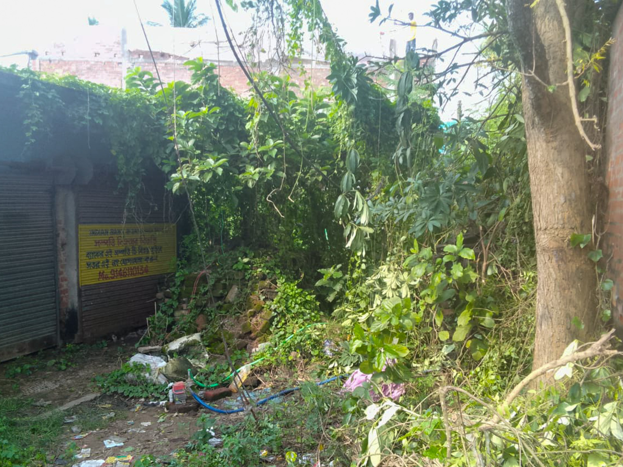Shops for sale in Champadanga/Tarkeshwar — photo 10
