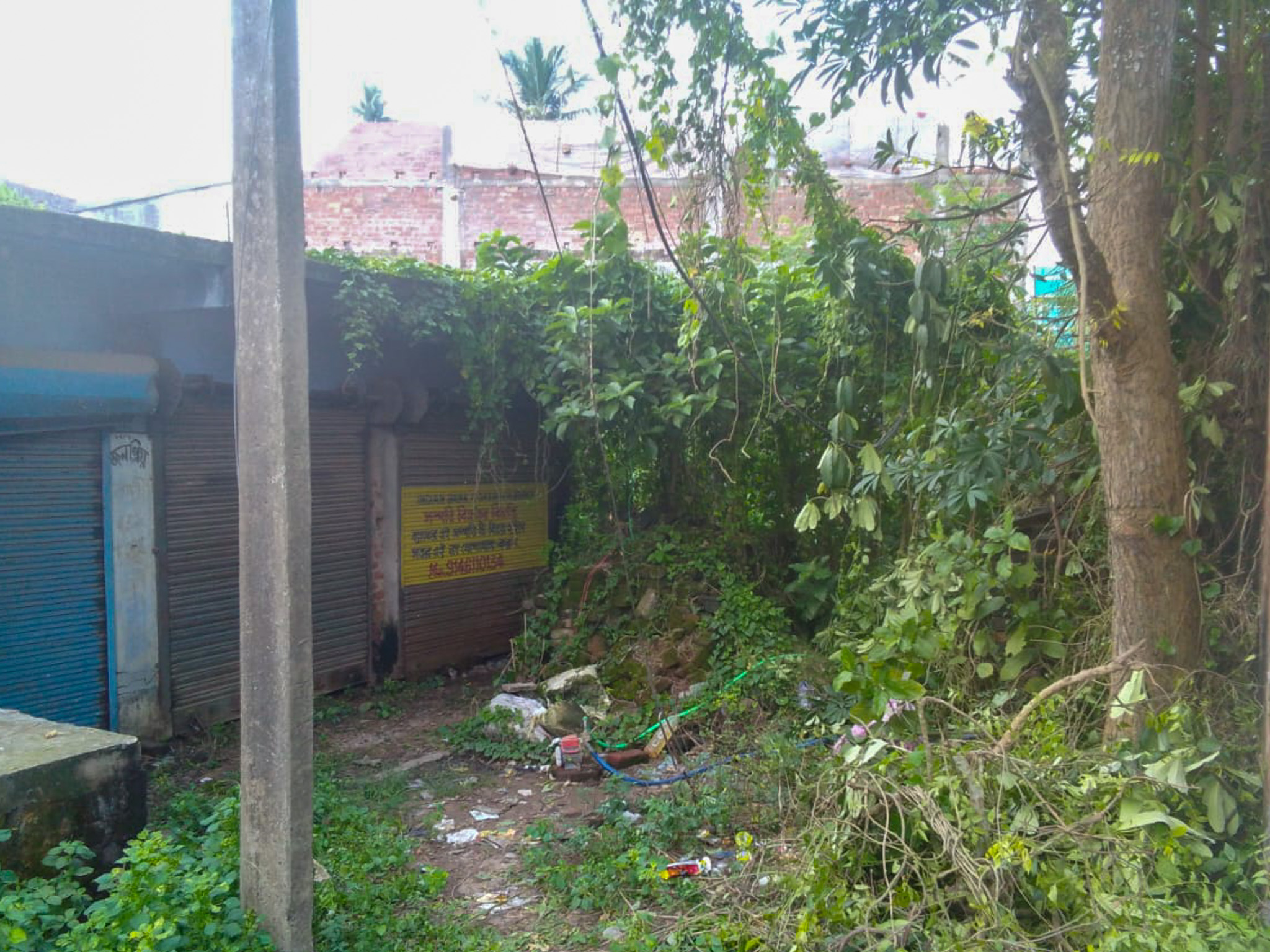 Shops for sale in Champadanga/Tarkeshwar — photo 13