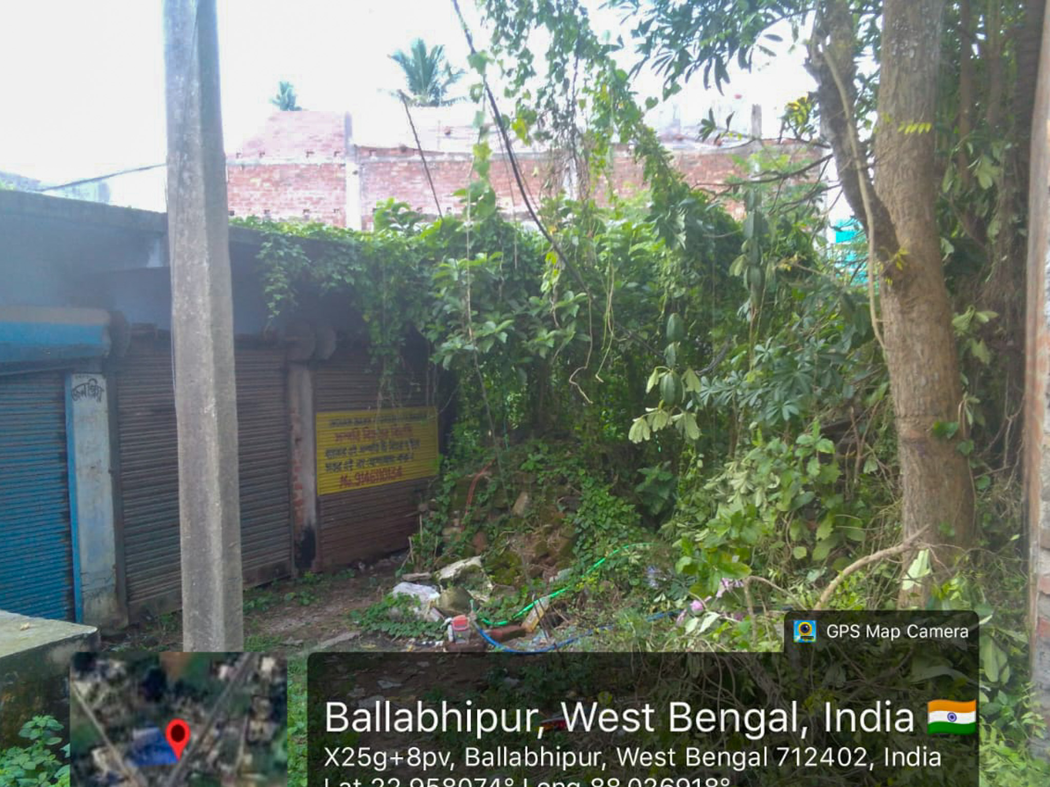 Shops for sale in Champadanga/Tarkeshwar — photo 19