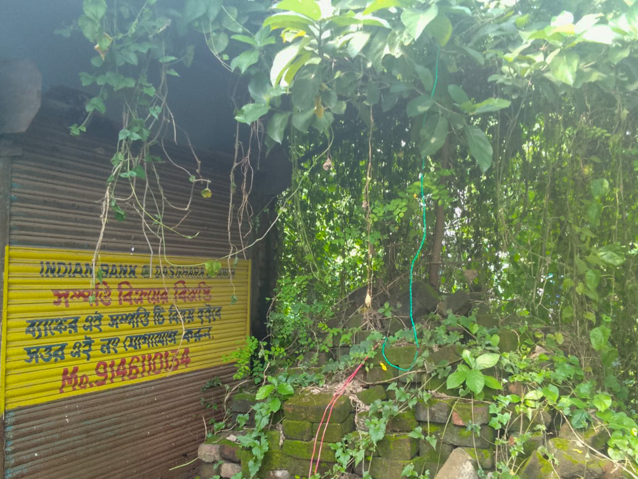 Shops for sale in Champadanga/Tarkeshwar — photo 23