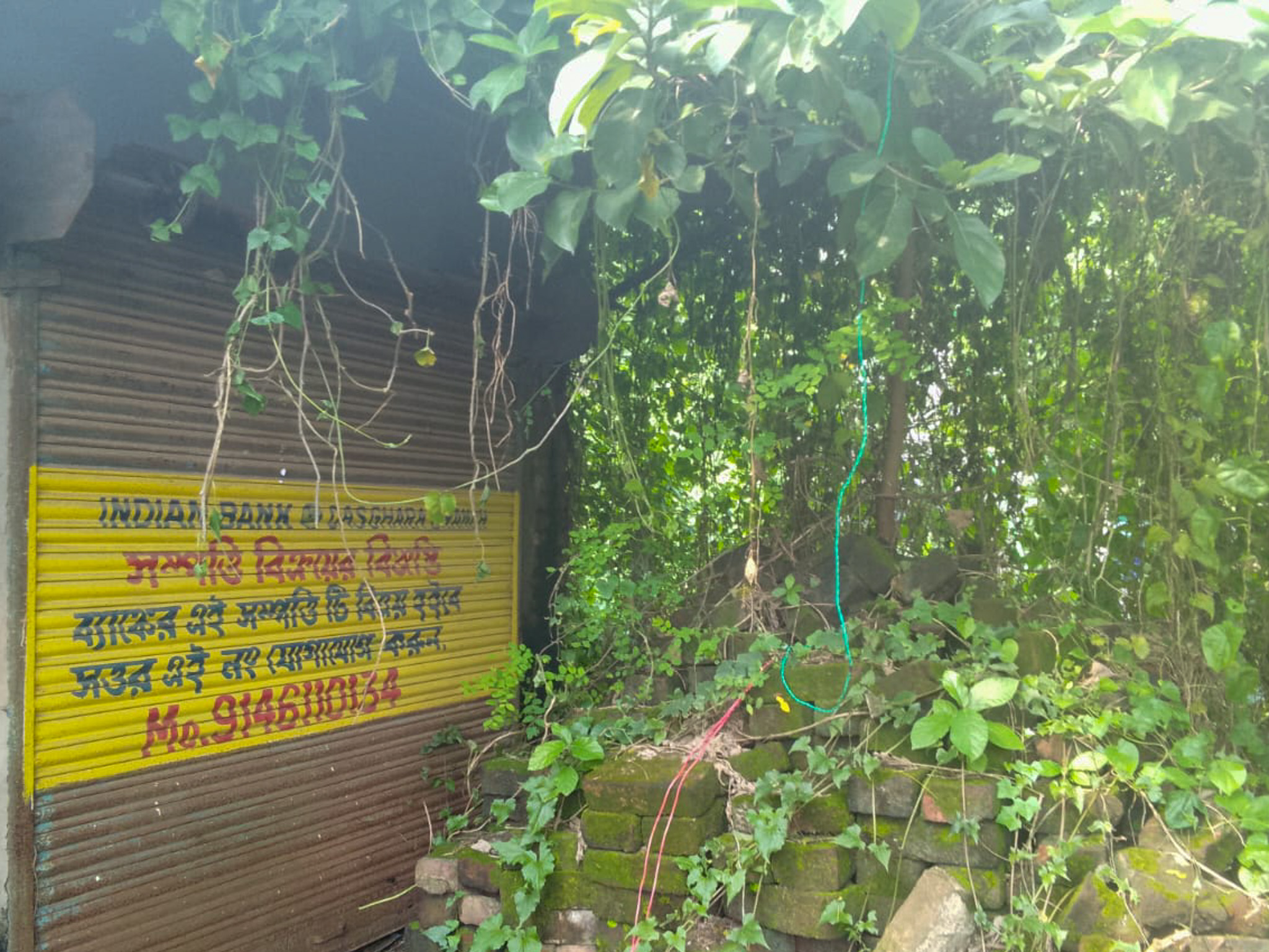 Shops for sale in Champadanga/Tarkeshwar — photo 6