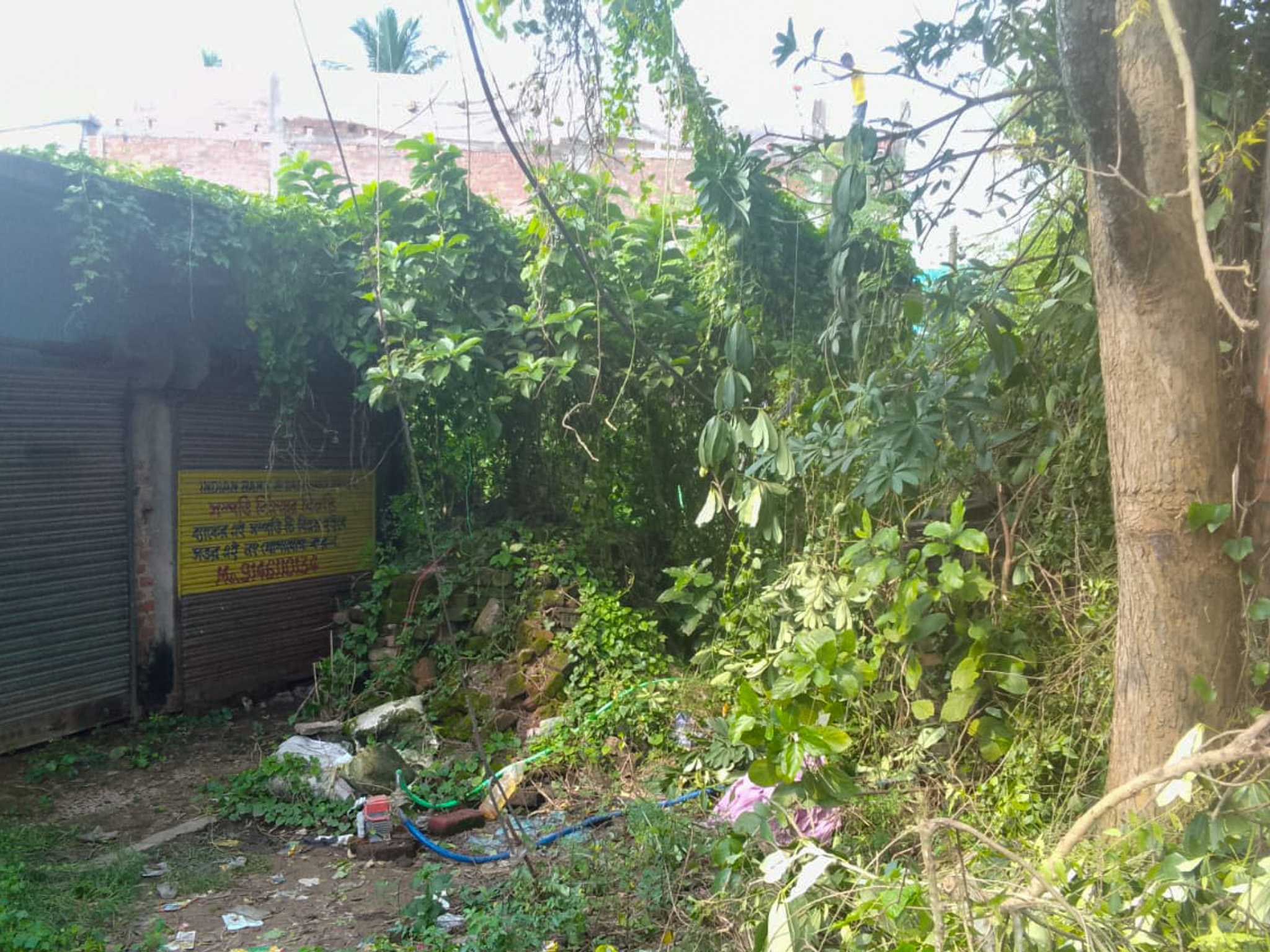 Shops for sale in Champadanga/Tarkeshwar — photo 8