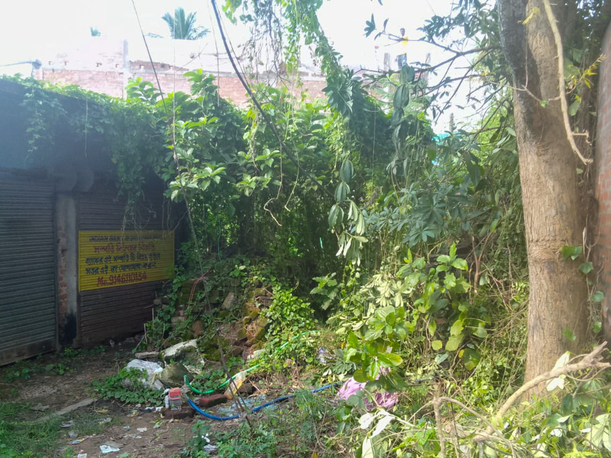 Shops for sale in Champadanga/Tarkeshwar — photo 7