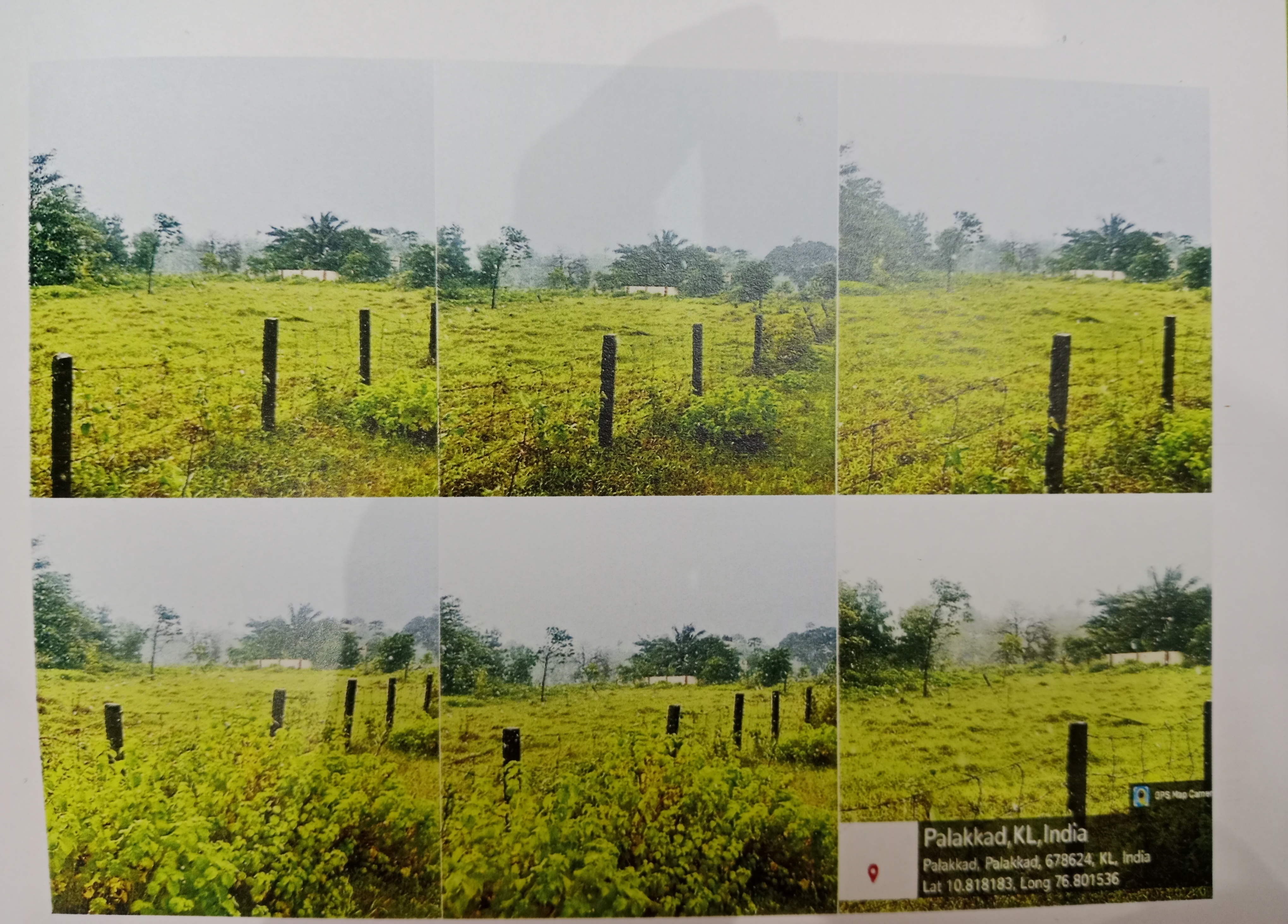 Plot for sale in PUDUSSERY Pudussery