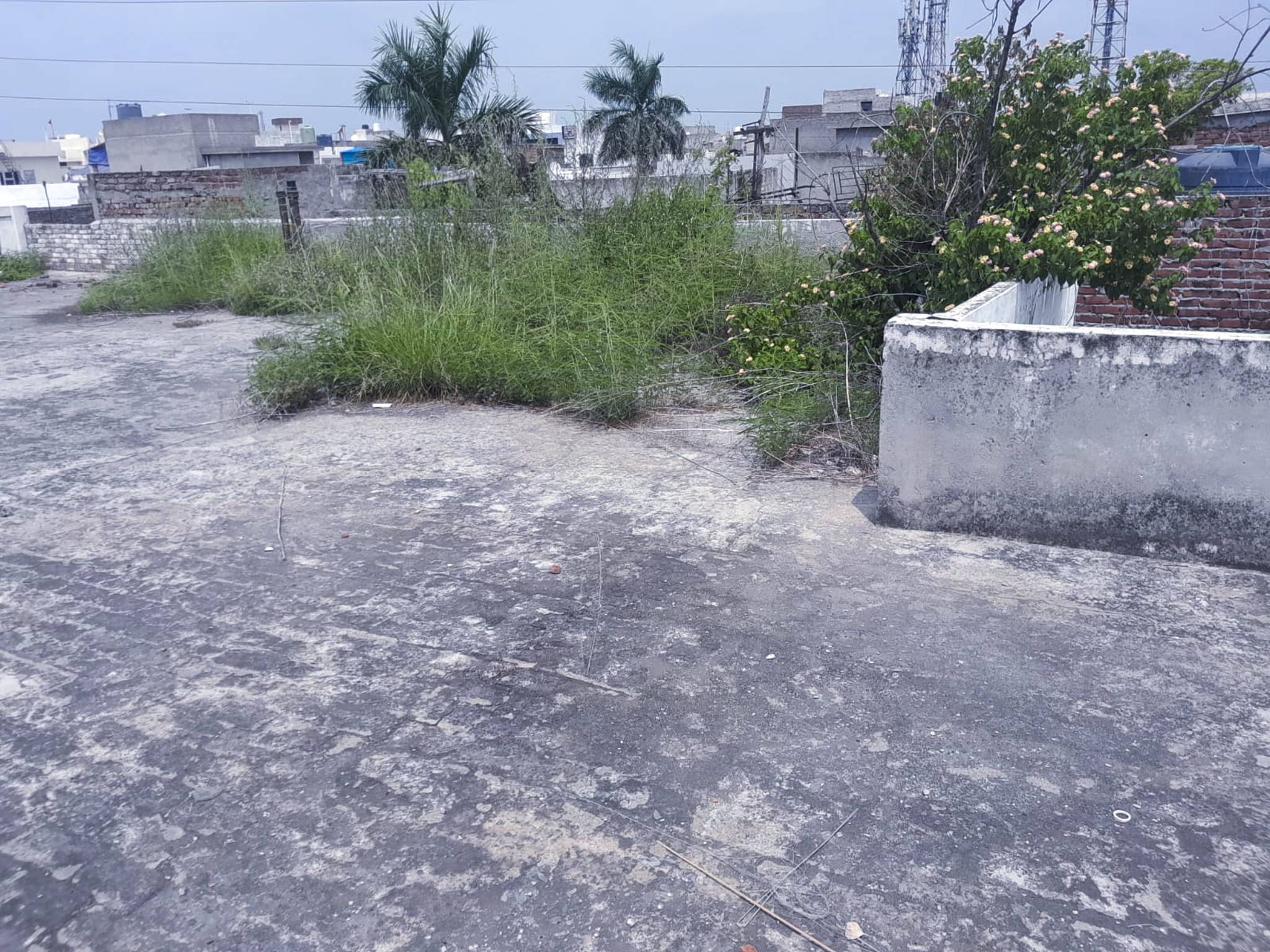 2016 square yard Individual House for sale in Double storey building, Aarewali Gali, Haibowal Kalan, Ludhiana, Haibowal Kalan, Durgapuri, Ludhiana Ludhiana — photo 13
