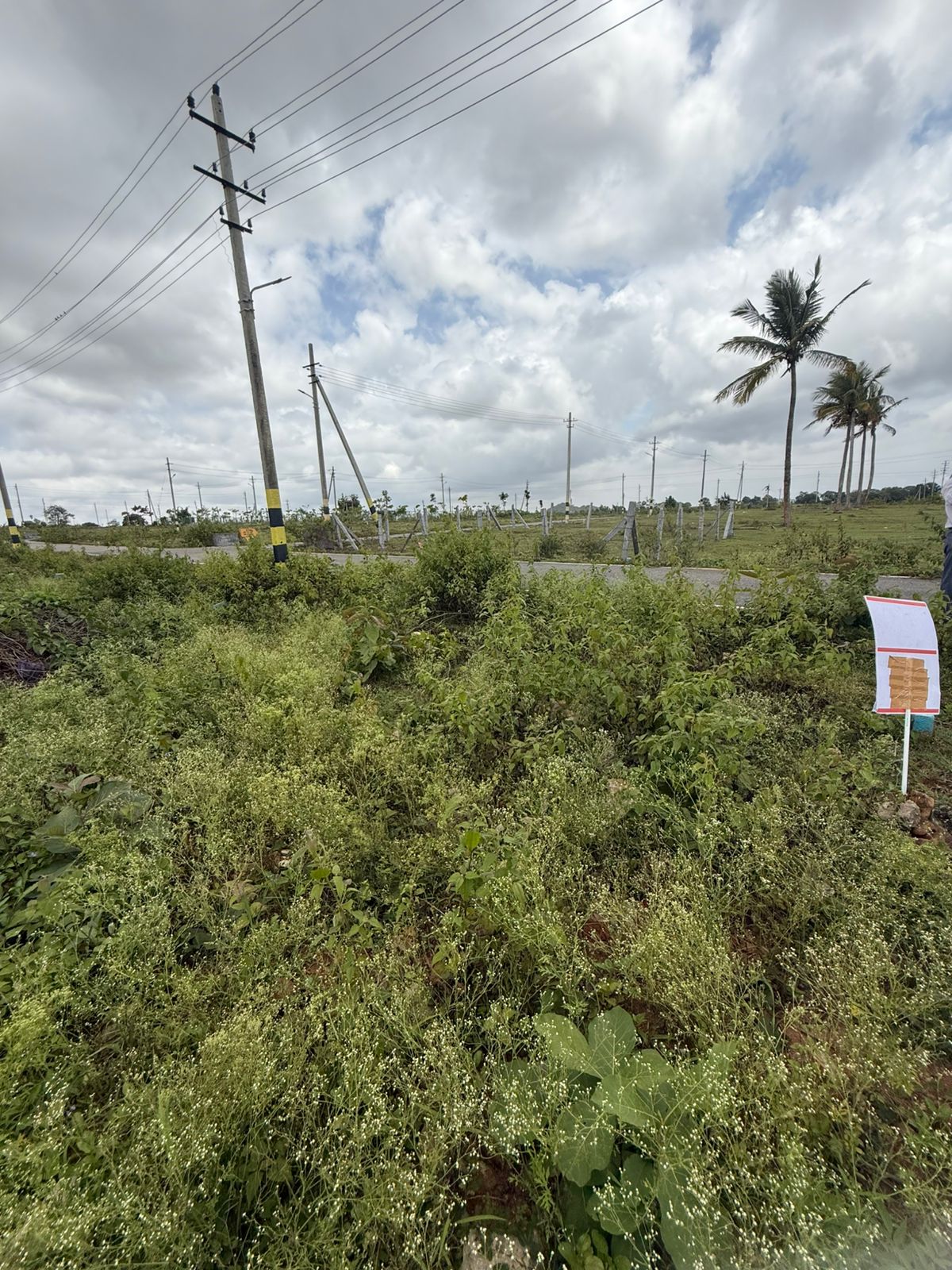 108 square meter Plot for sale in Mysuru Mysuru