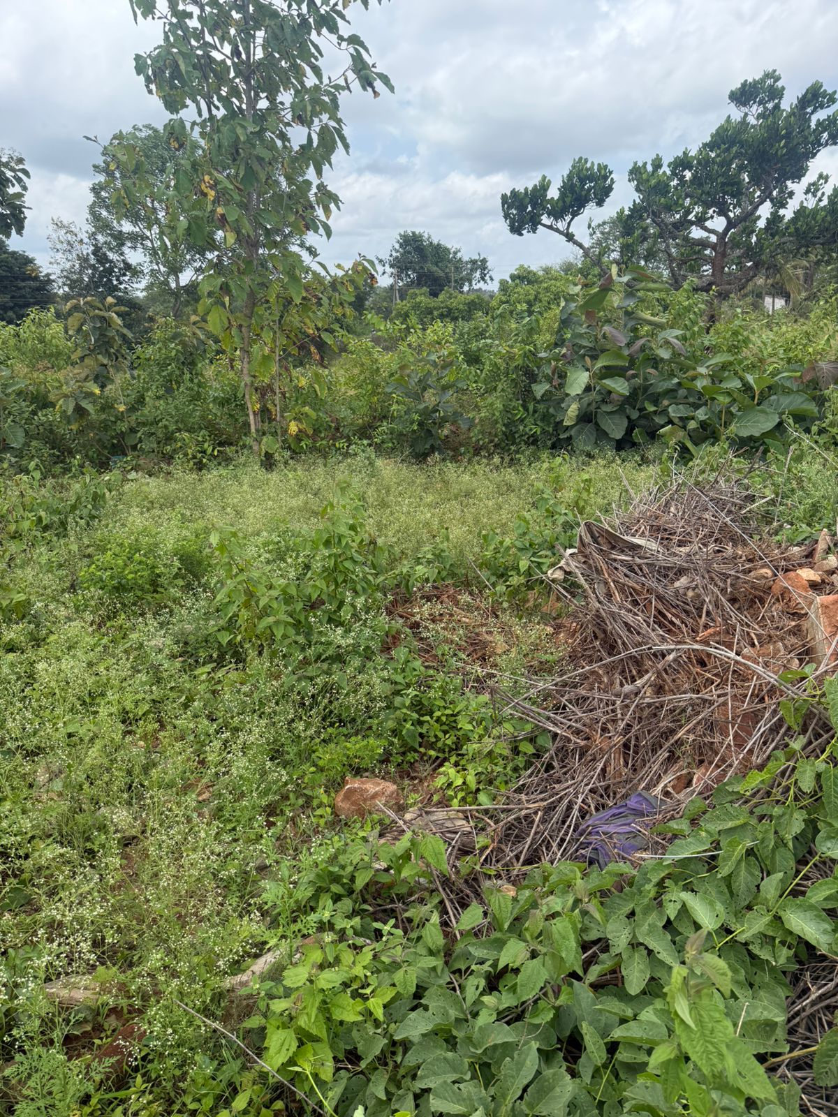 108 square meter Plot for sale in Mysuru Mysuru — photo 3