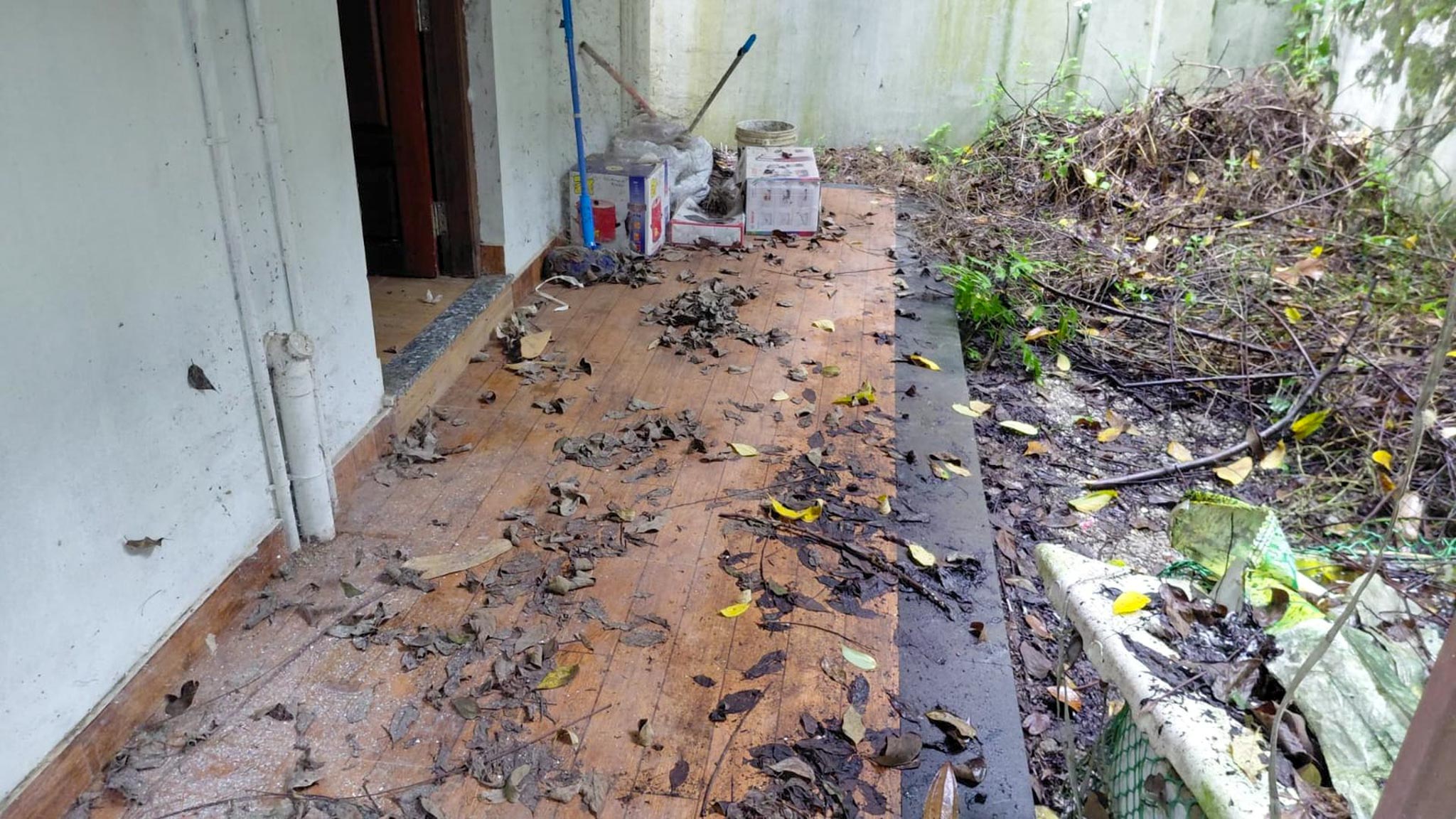 2 BHK Individual House for sale in 10/195-A, Nedumangad Karakulam — photo 16