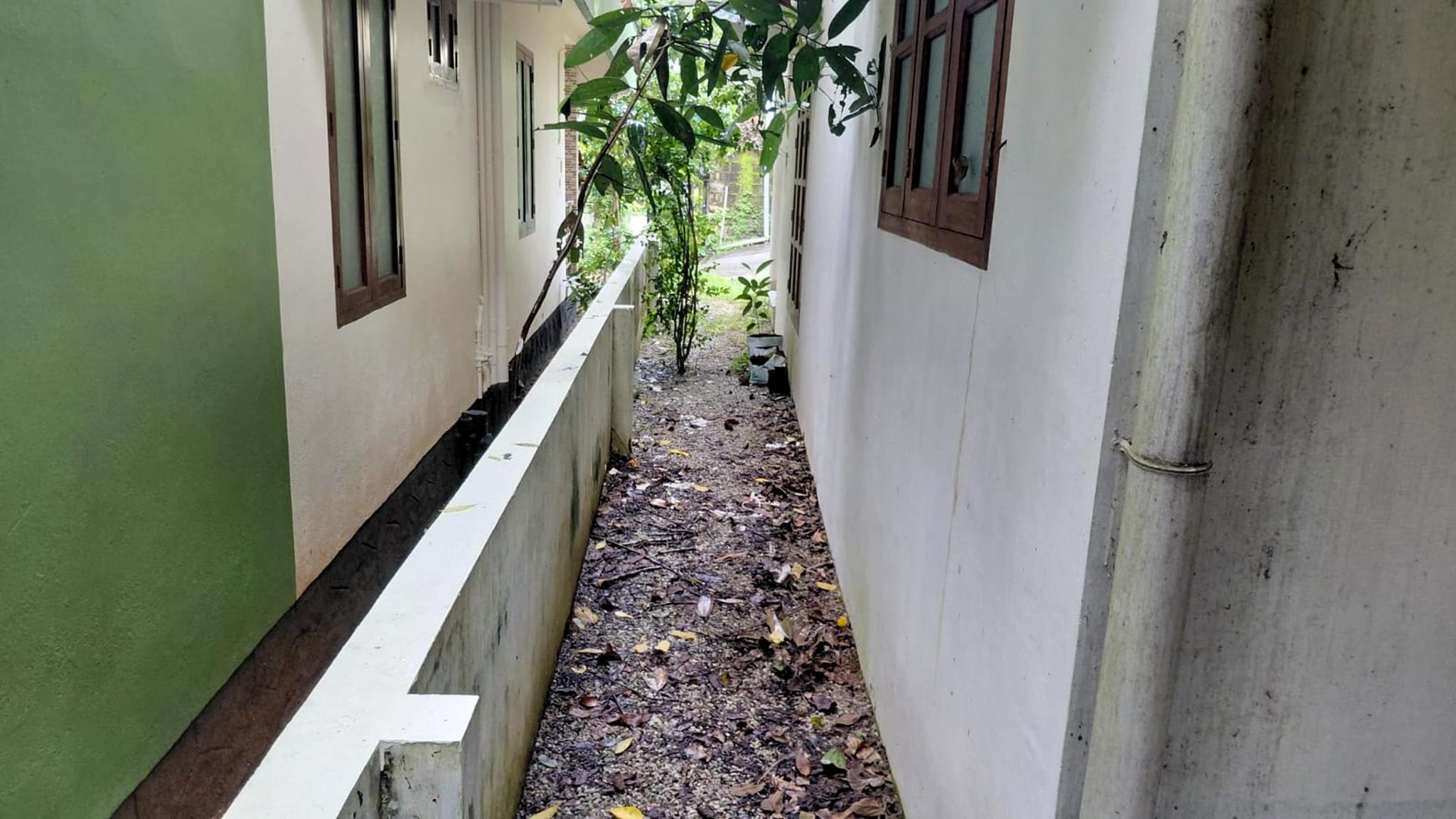 2 BHK Individual House for sale in 10/195-A, Nedumangad Karakulam — photo 24