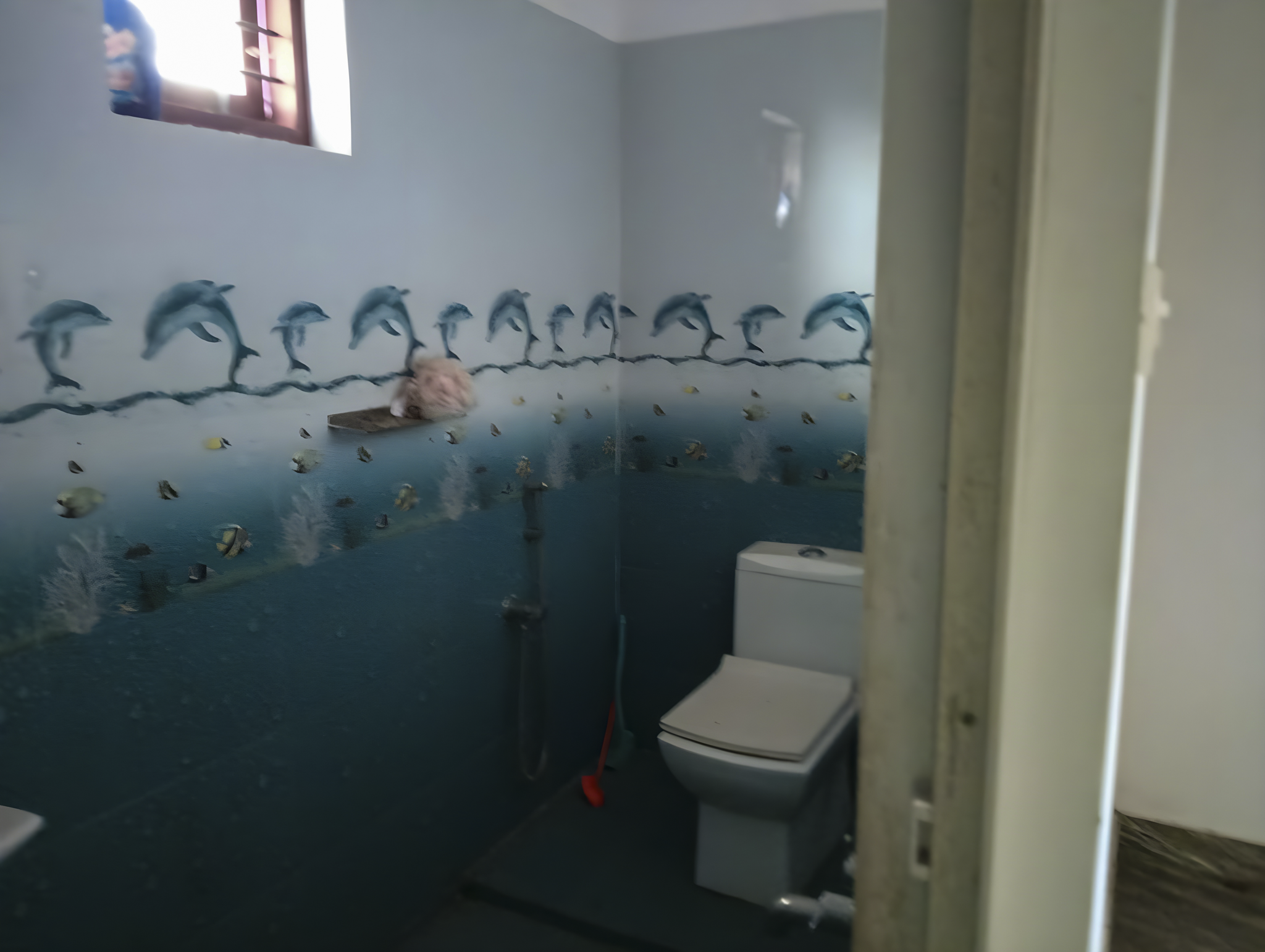 2 BHK Individual House for sale in Viju George, Thiruvalla Thiruvalla — photo 19