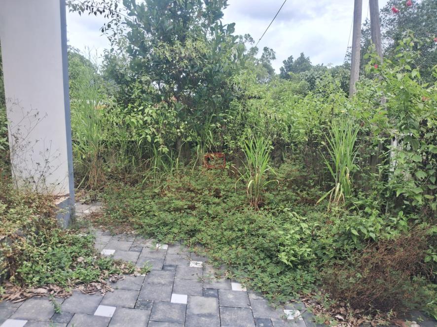 3 BHK Individual House for sale in KOLIYACODE, Koduvazhanoor Thiruvananthapuram — photo 6