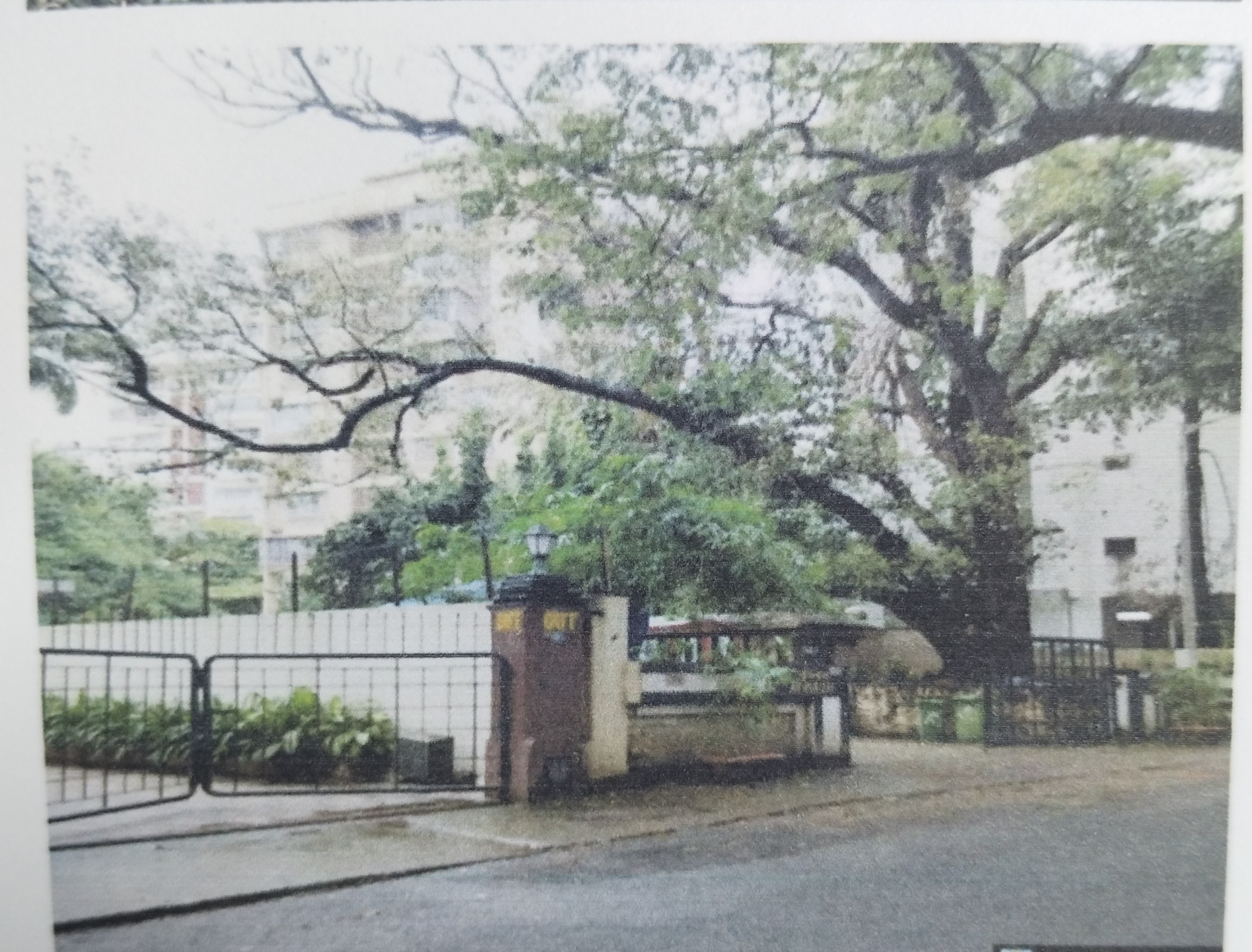 1680.58 square feet Flat for sale in Khar west Mumbai