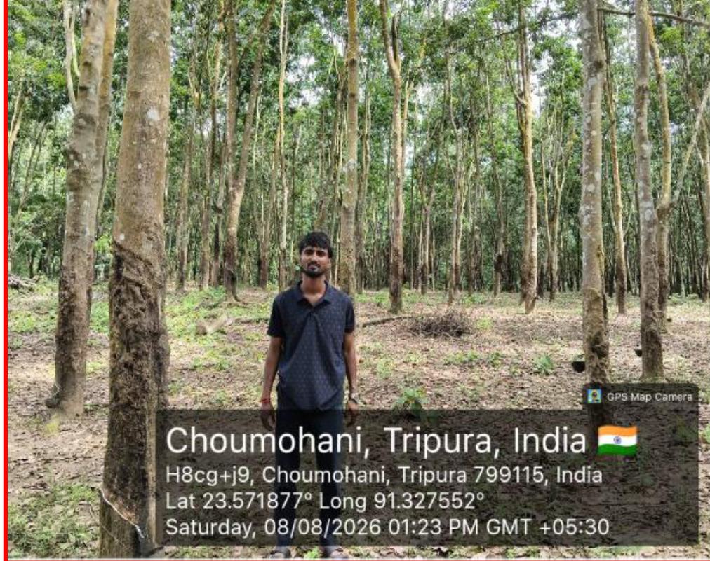 Land for sale in Bagmara, PO - Bishramganj, PS - Melaghar, District - Sepahijala, Tripura Bishramganj — photo 2