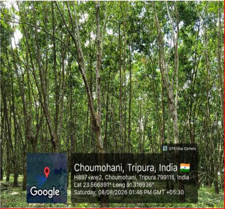 Land for sale in Bagmara, PO - Bishramganj, PS - Melaghar, District - Sepahijala, Tripura Bishramganj — photo 3
