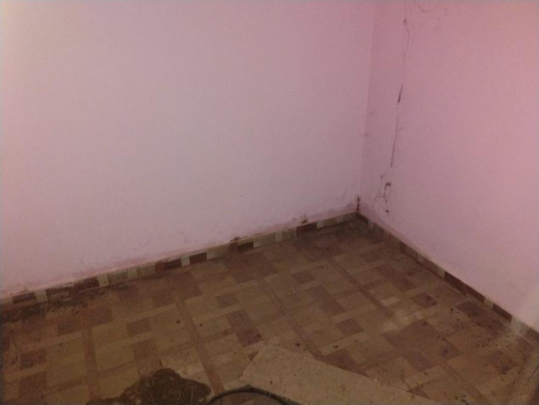 Individual House for sale in Ghana ,Khamariya ,Jabalpur Jabalpur — photo 2