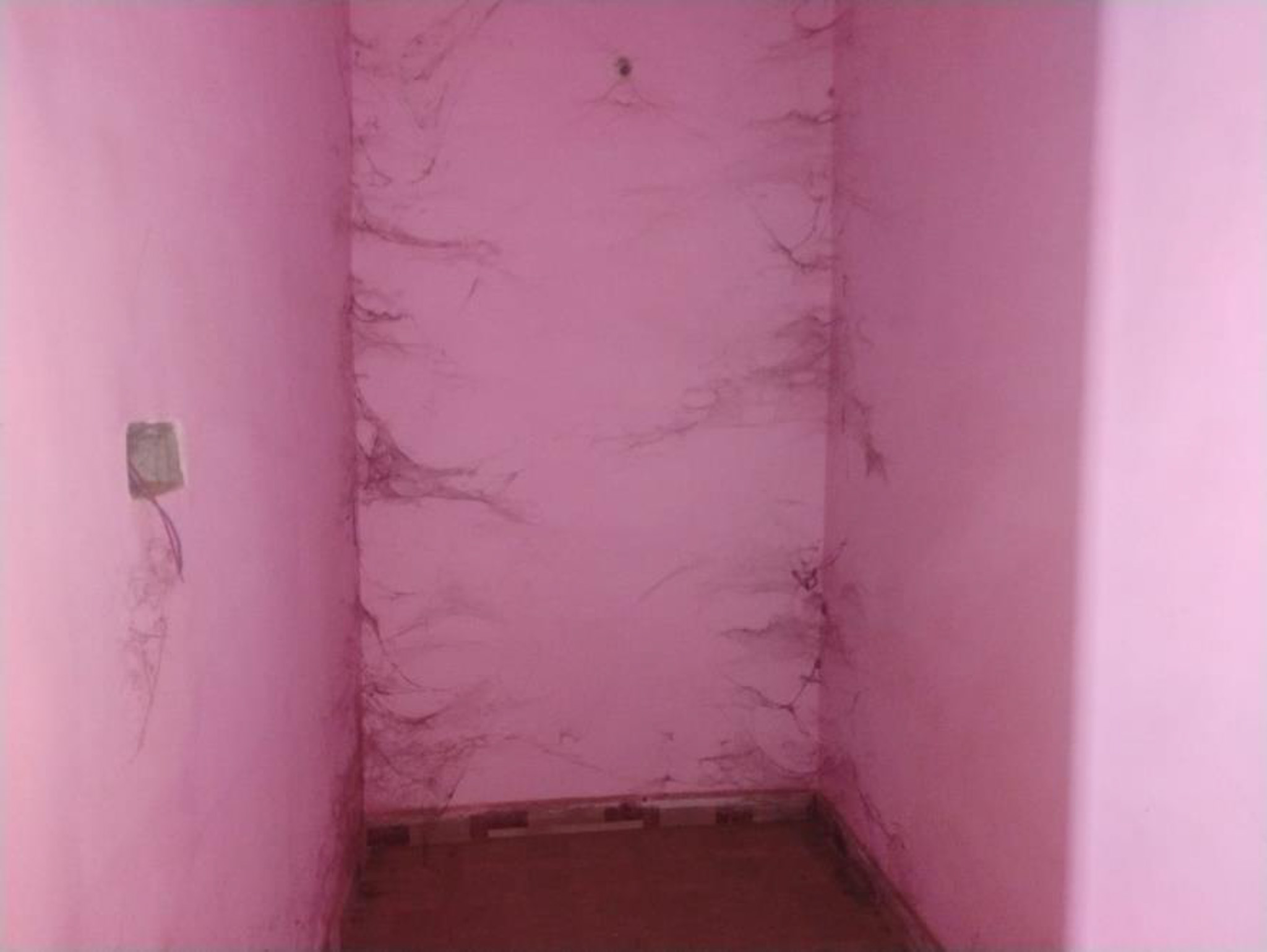 Individual House for sale in Ghana ,Khamariya ,Jabalpur Jabalpur — photo 6