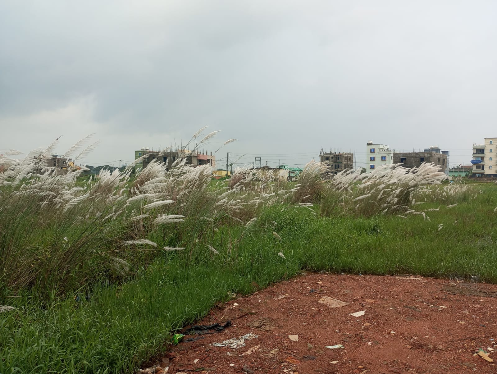 2439.36 square feet Plot for sale in Ekamra Vihar, Ebaranga, Sundarpada Bhubaneswar — photo 2