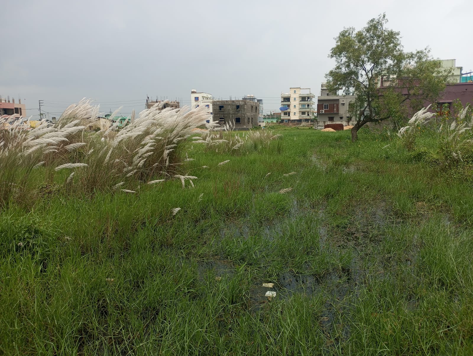 2439.36 square feet Plot for sale in Ekamra Vihar, Ebaranga, Sundarpada Bhubaneswar