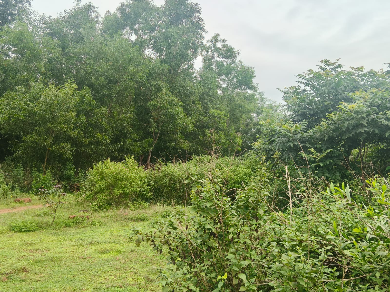 Plot for sale in Godiputamatiapara — photo 2