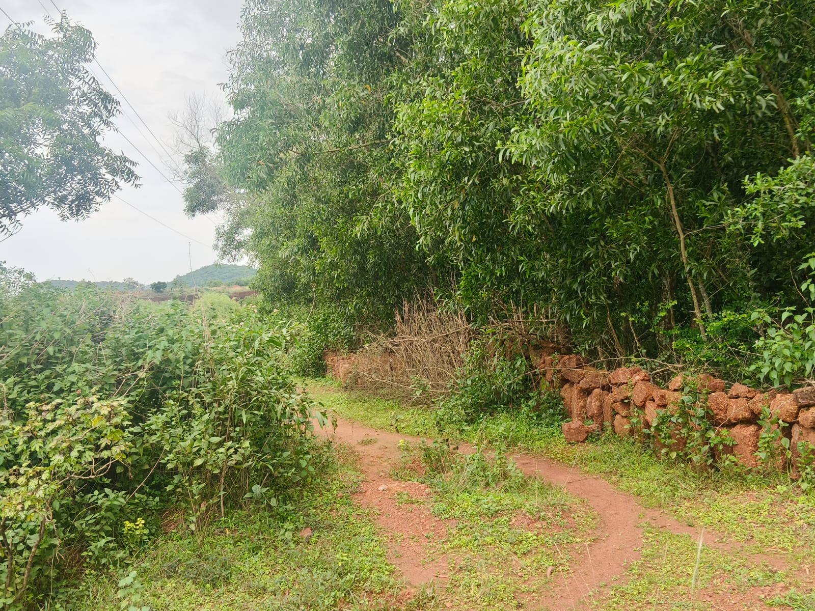 Plot for sale in Godiputamatiapara — photo 3