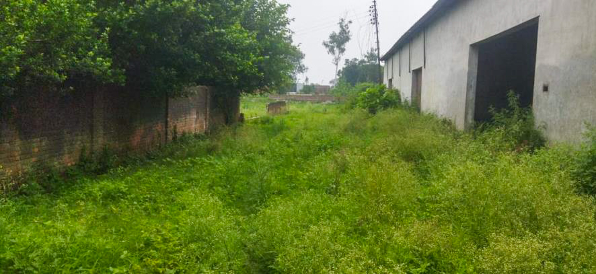 Industrial Plot with Factory Building for sale in JAHANABAD, PHILIBHIT, UP Jahanabad — photo 4
