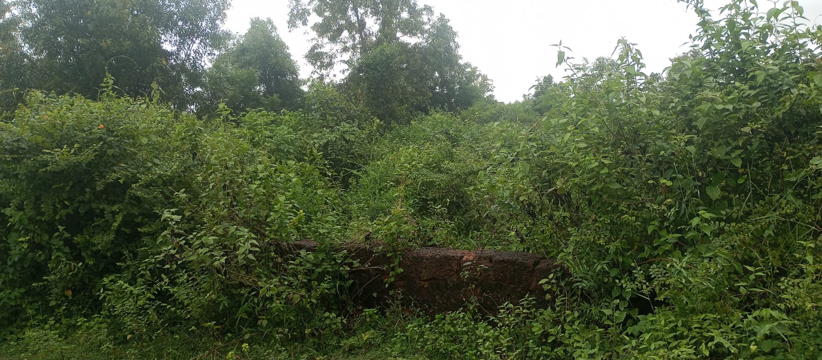 Plot for sale in Bhubaneswar