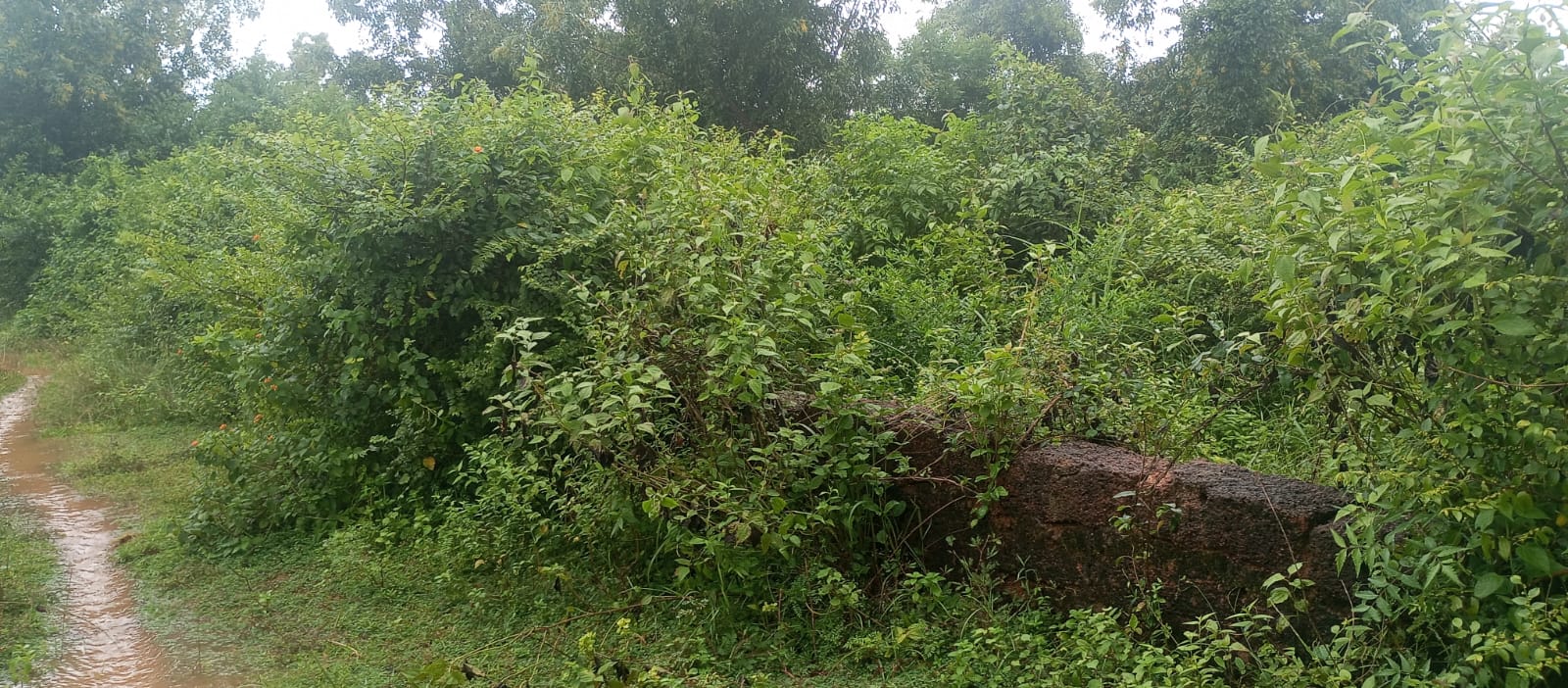 Plot for sale in Bhubaneswar — photo 2