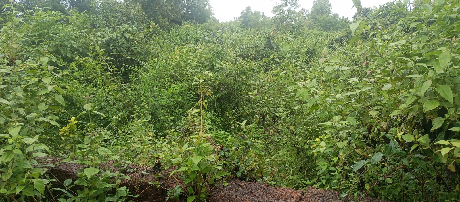 Plot for sale in Bhubaneswar — photo 3
