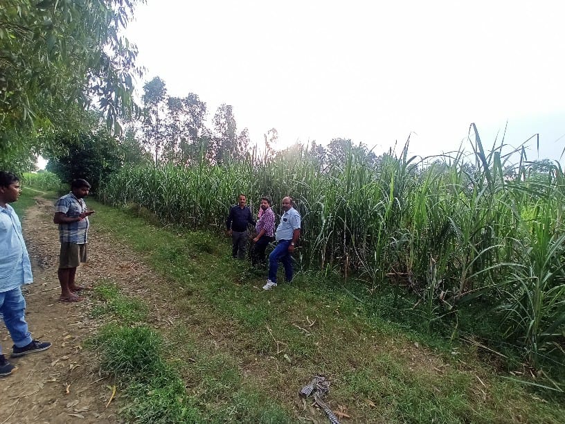 LAND CONVERETED TO SEC 143 BUT USE AS AGRICULTURE for sale in Sherkot