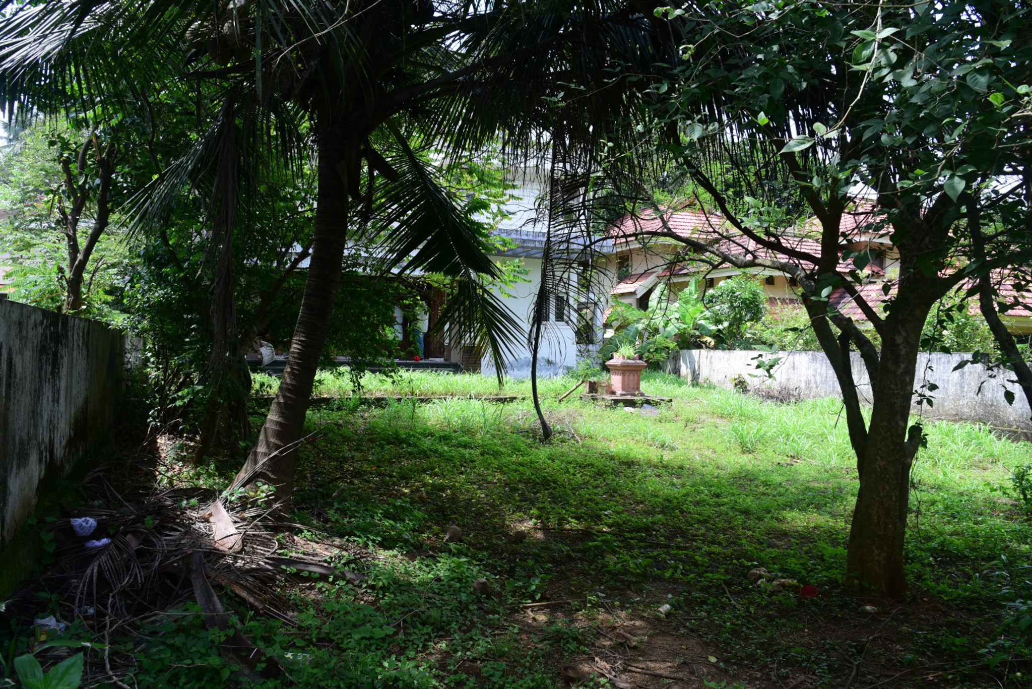 Individual House for sale in d.no.8/159 mill house chunnambuthara palakkad I village palakkad Palakkad — photo 10