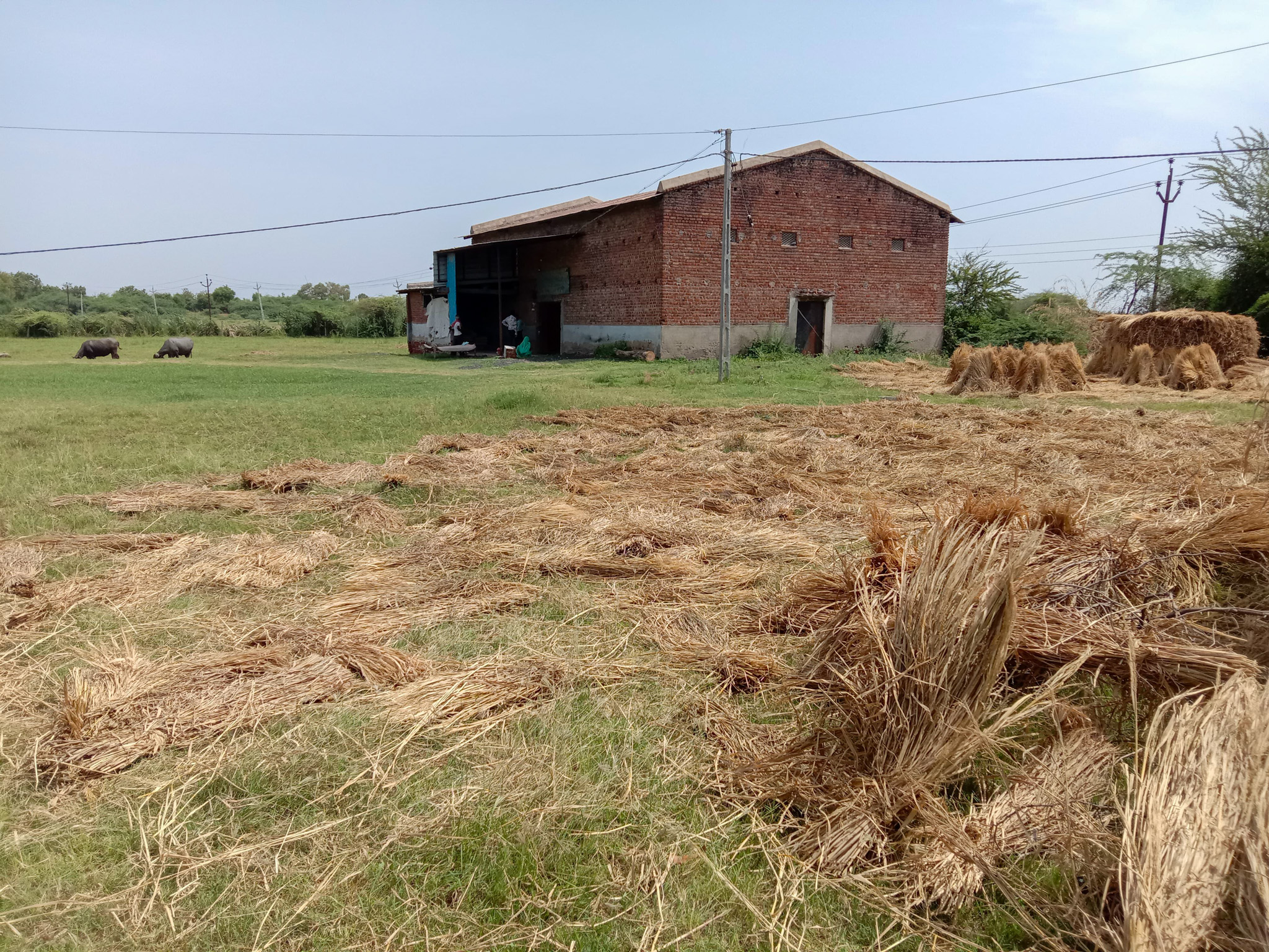 7699 square meter Godowns for sale in Rural Matar Industrial Area — photo 3