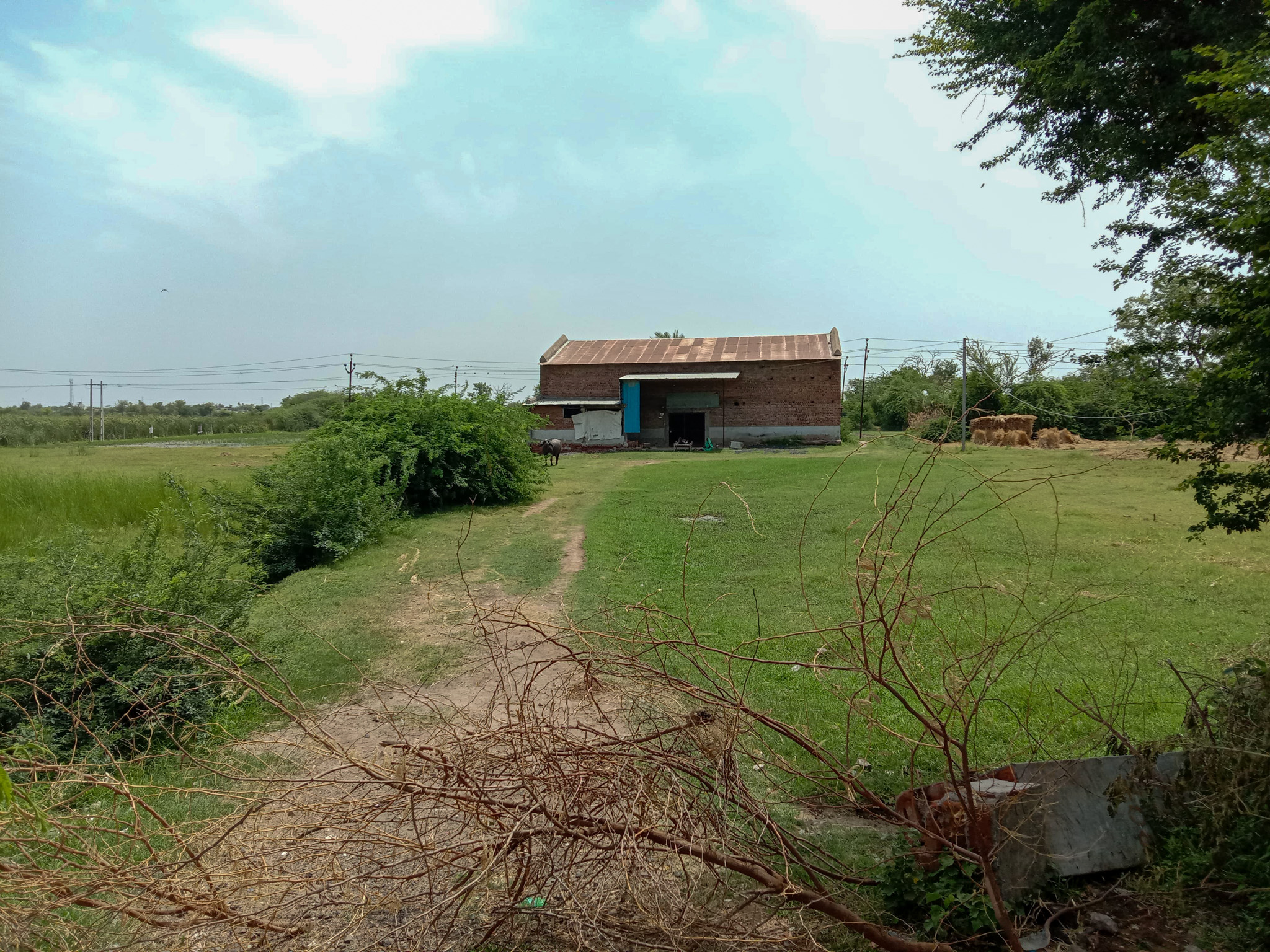 7699 square meter Godowns for sale in Rural Matar Industrial Area — photo 4