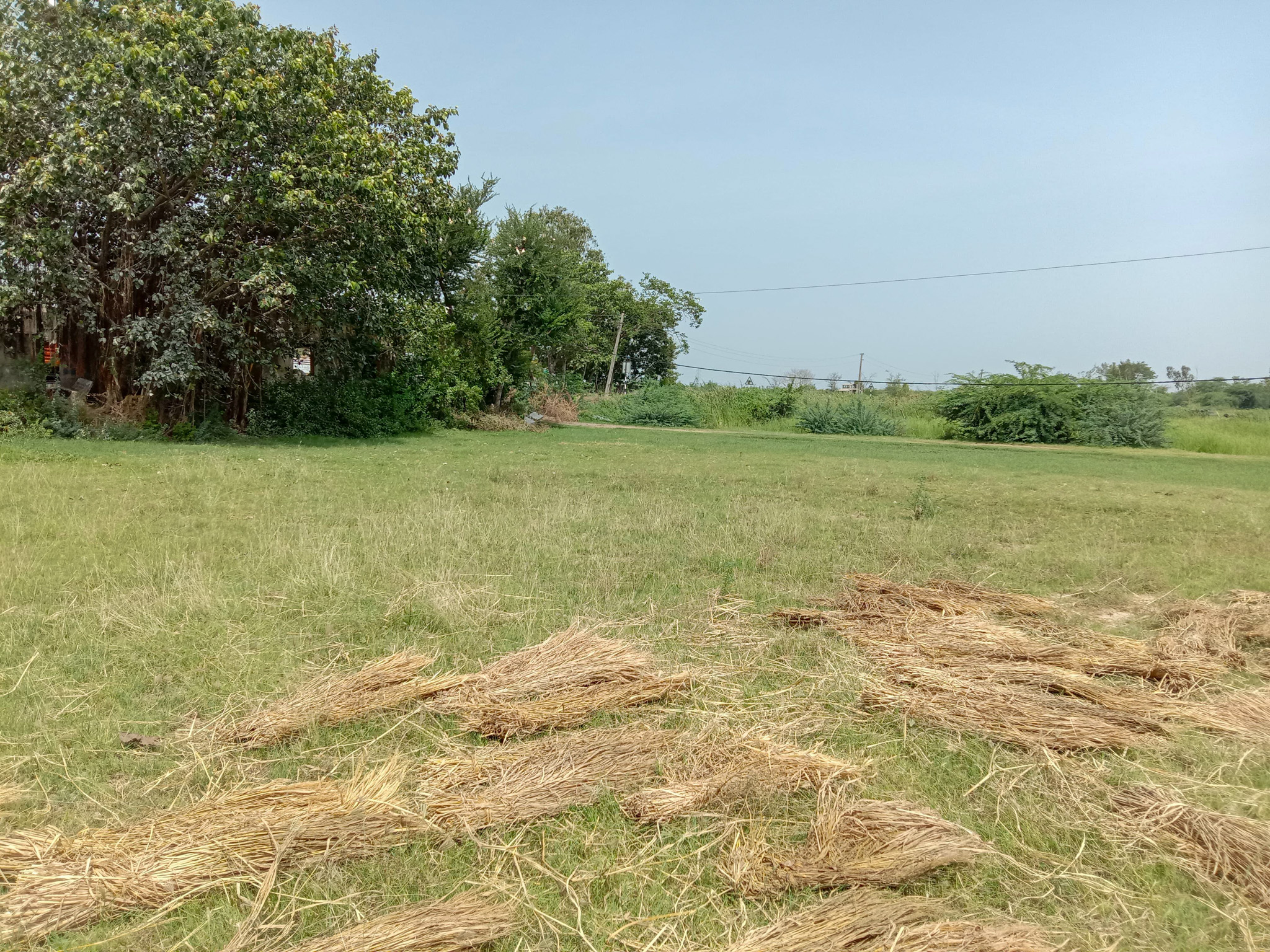 7699 square meter Godowns for sale in Rural Matar Industrial Area — photo 5