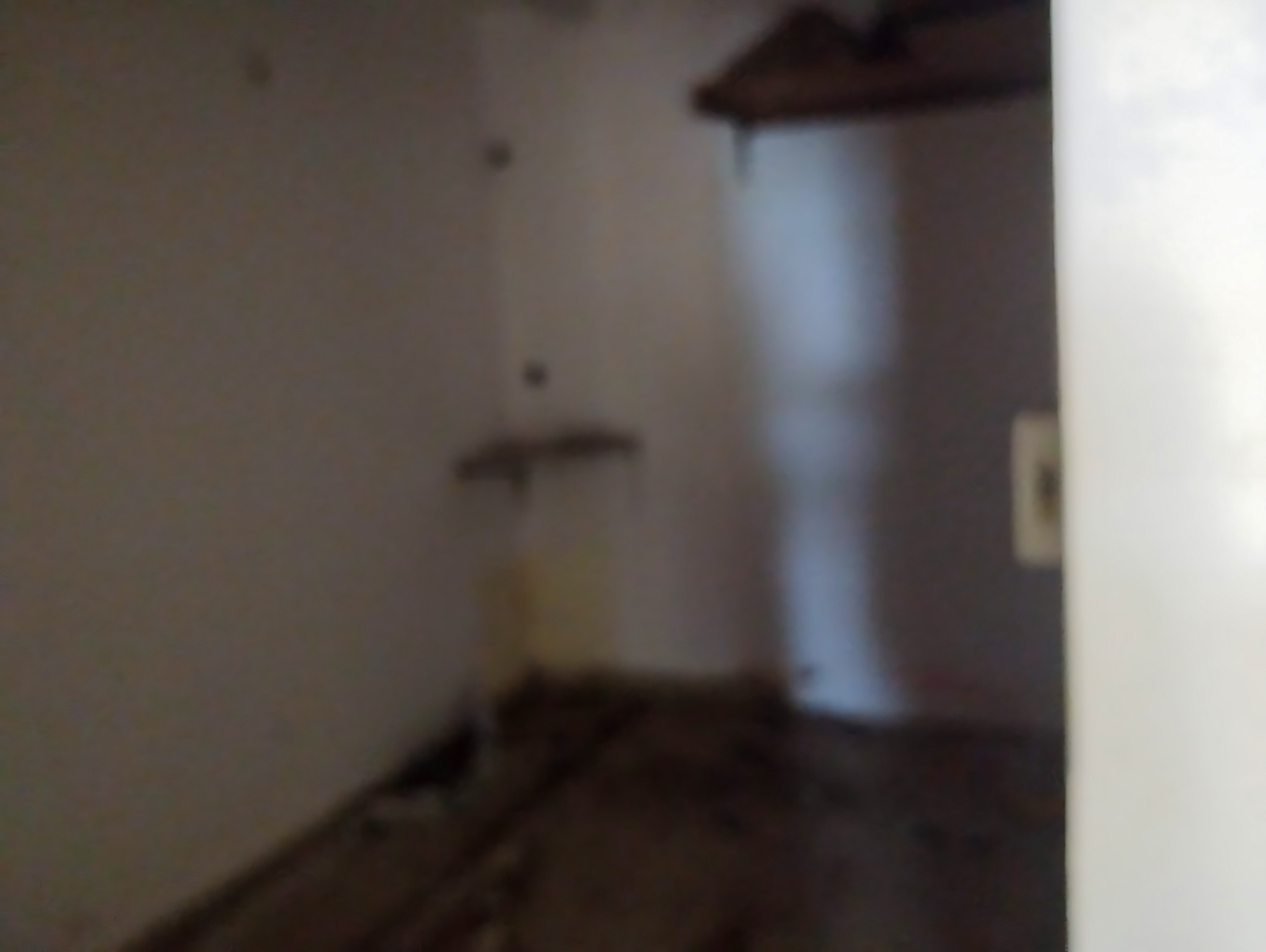 73.74 square meter Shops for sale in MAMTA MEDICARE, DEHGAM - 382305, DIST-GANDHINAGAR, GUJARAT Dehgam — photo 13