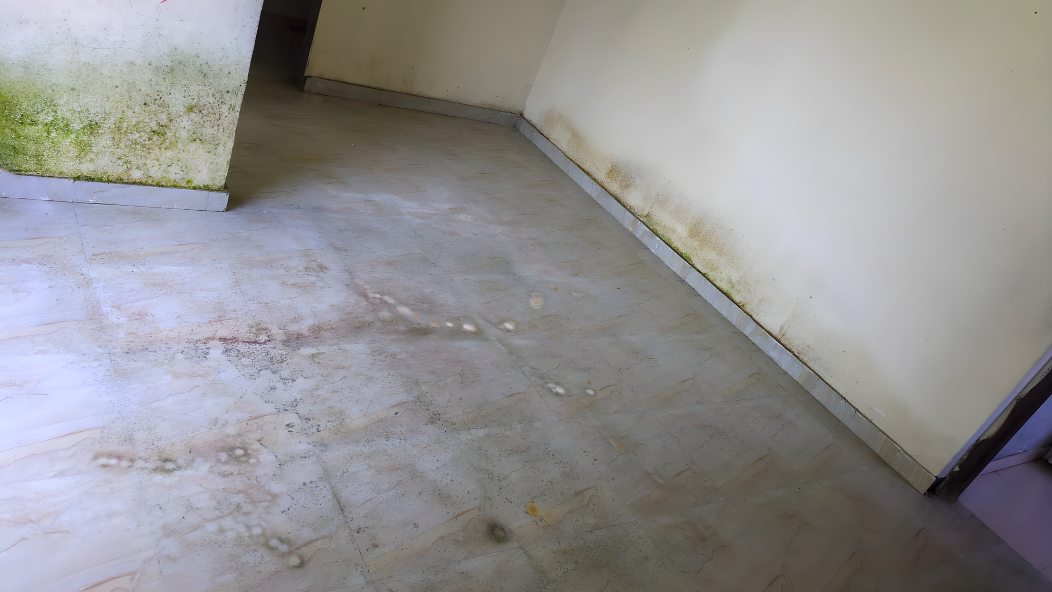 1 BHK Flat for sale in AKHIL MAHARASHTRA KAMGAR SAHAKARI GRAHNIRMAN SANSTHA LTD, GHANSOLI, NAVI MUMBAI Navi Mumbai — photo 3