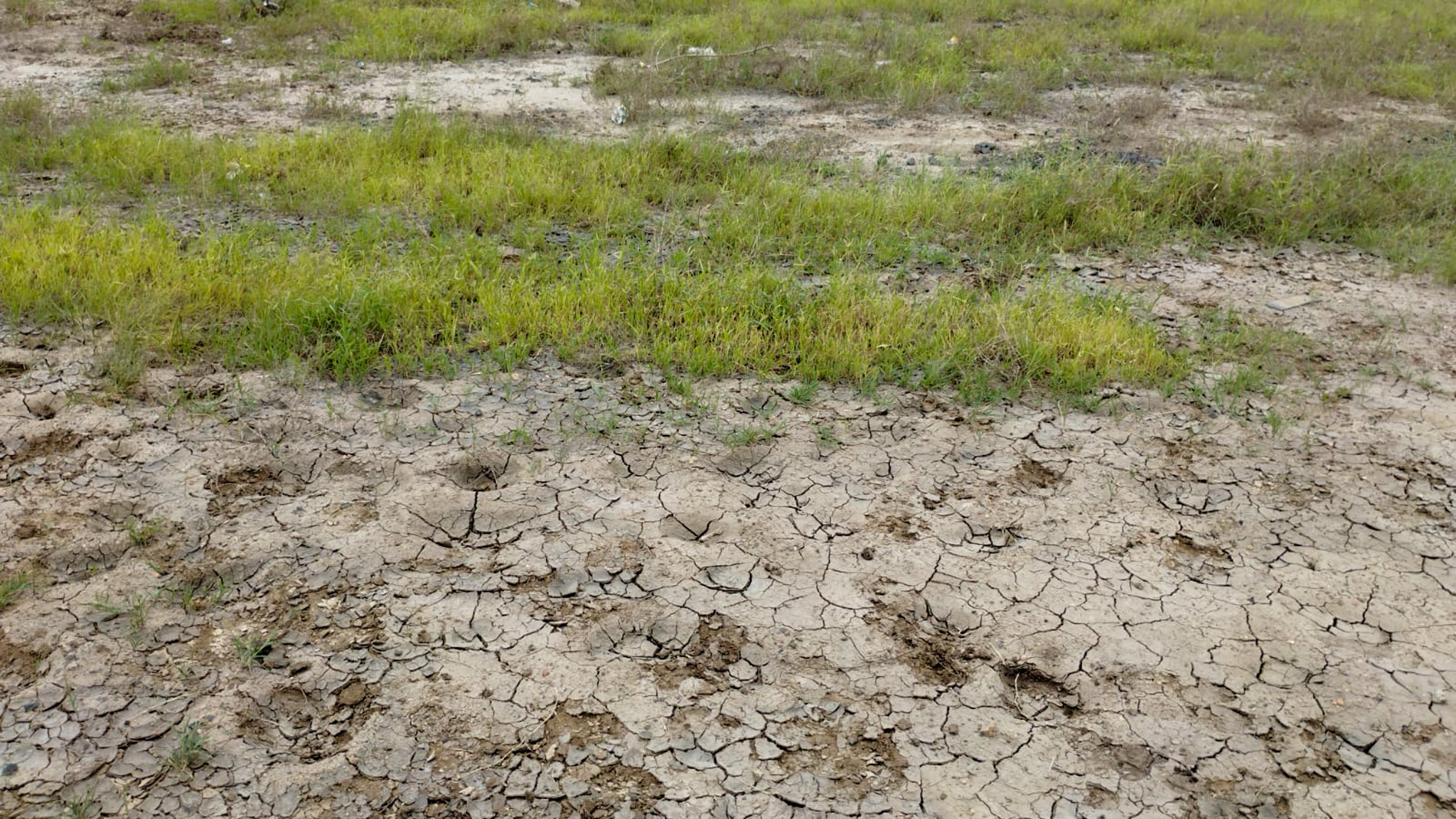 29200 square meter OPEN PLOT FOR INDUSTRIAL USE for sale in MALVAN Surendranagar — photo 9