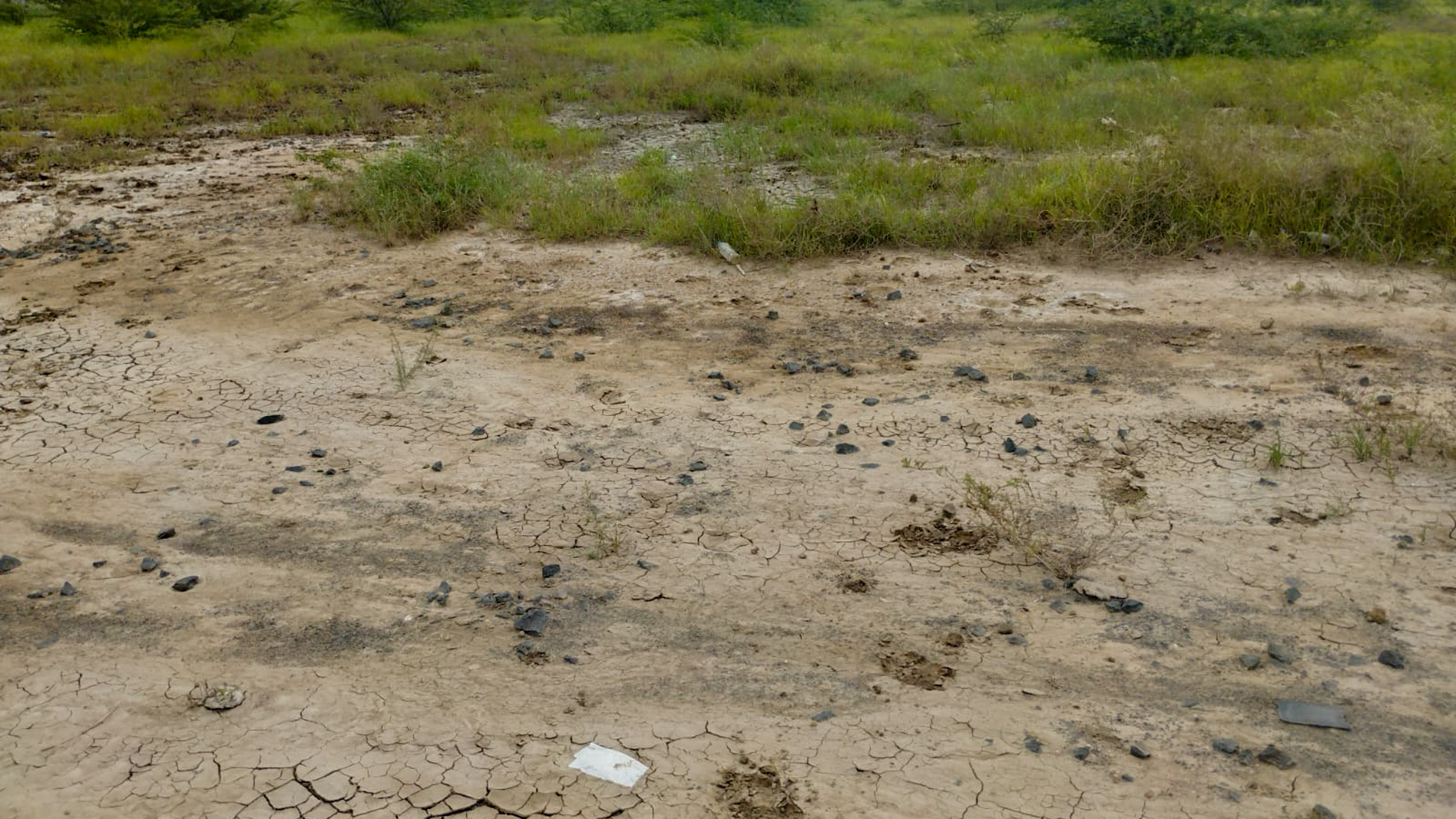 29200 square meter OPEN PLOT FOR INDUSTRIAL USE for sale in MALVAN Surendranagar — photo 16
