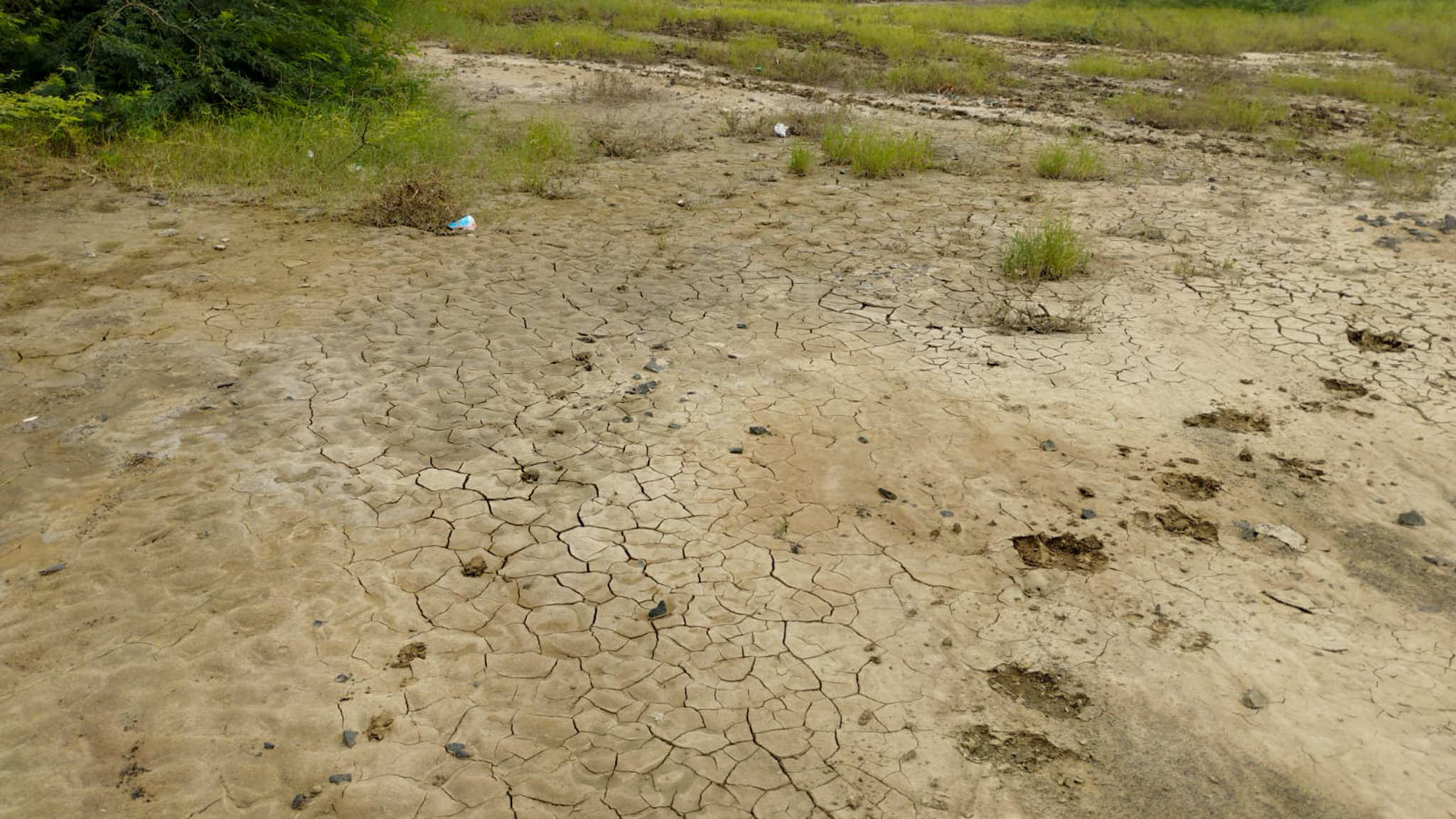 29200 square meter OPEN PLOT FOR INDUSTRIAL USE for sale in MALVAN Surendranagar — photo 1