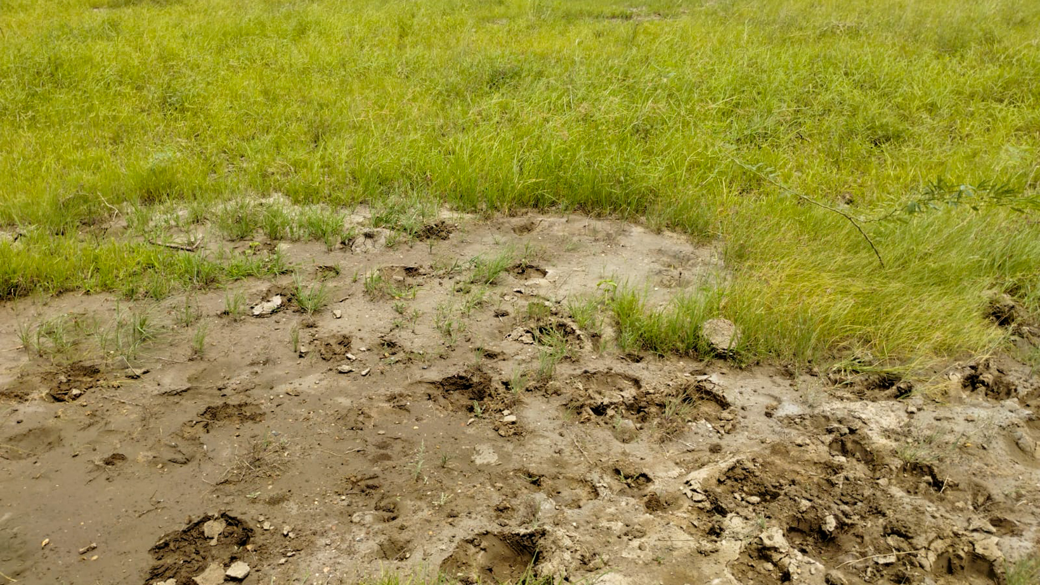 29200 square meter OPEN PLOT FOR INDUSTRIAL USE for sale in MALVAN Surendranagar — photo 3