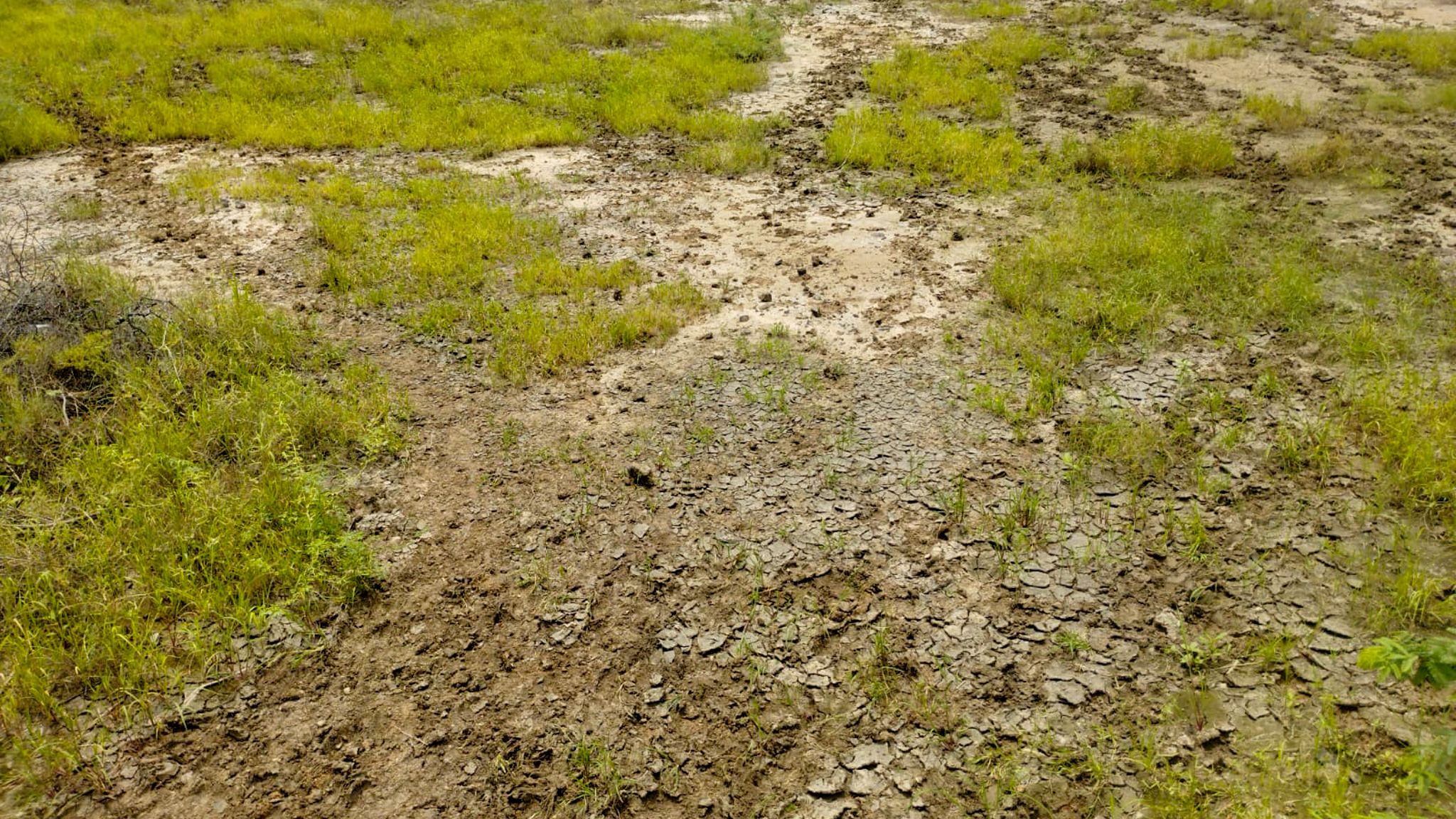 29200 square meter OPEN PLOT FOR INDUSTRIAL USE for sale in MALVAN Surendranagar — photo 10