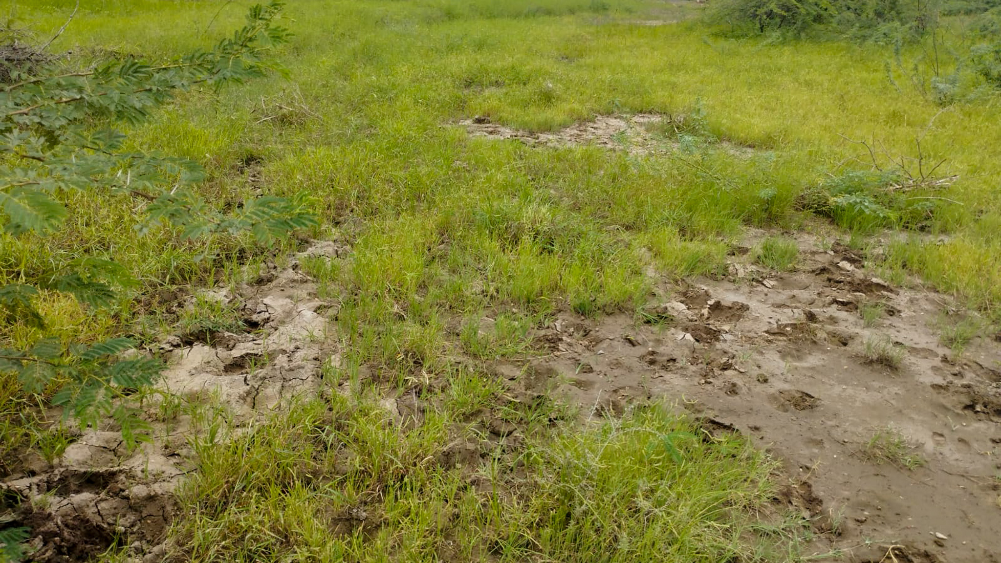 29200 square meter OPEN PLOT FOR INDUSTRIAL USE for sale in MALVAN Surendranagar — photo 4