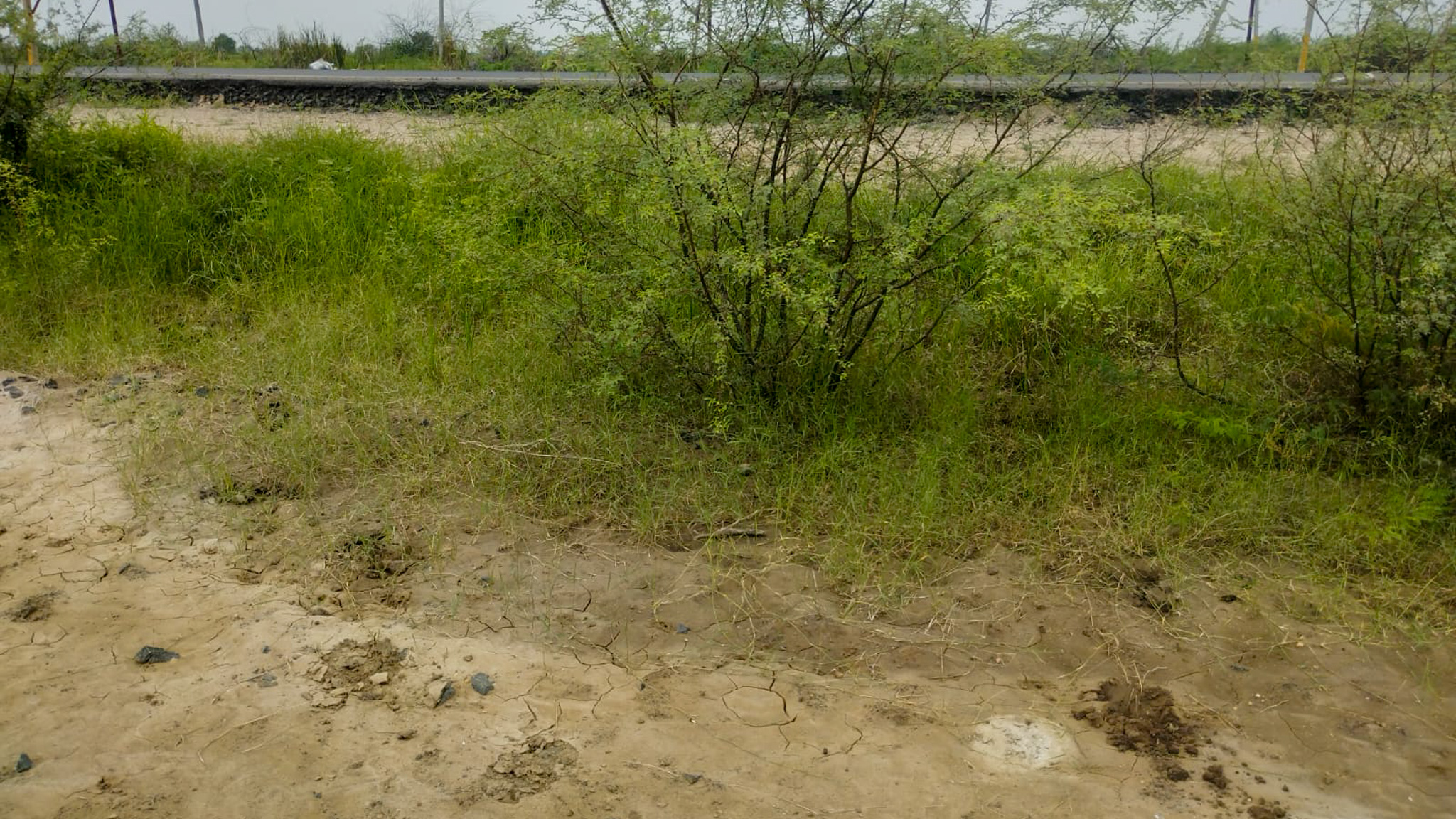 29200 square meter OPEN PLOT FOR INDUSTRIAL USE for sale in MALVAN Surendranagar — photo 11