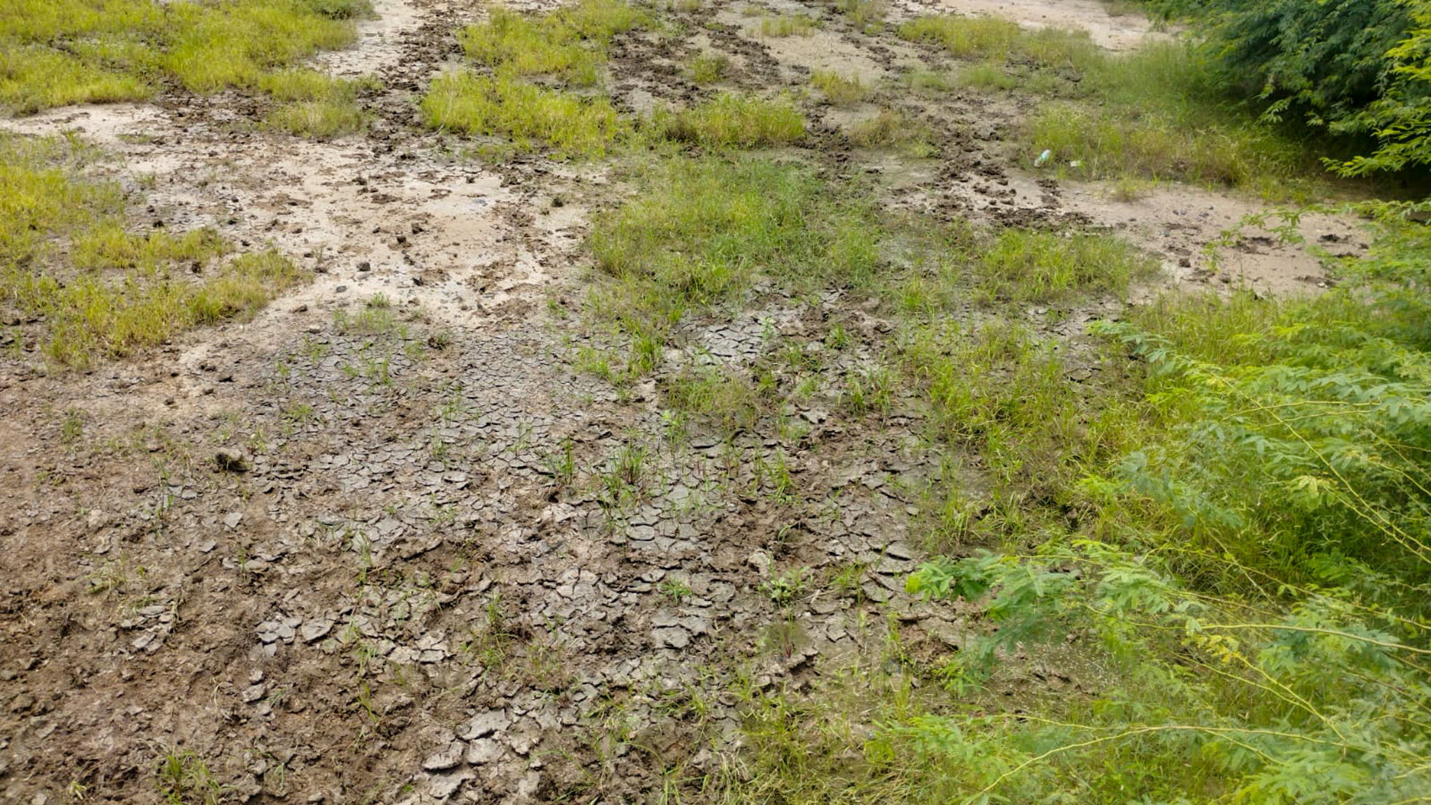 29200 square meter OPEN PLOT FOR INDUSTRIAL USE for sale in MALVAN Surendranagar — photo 12