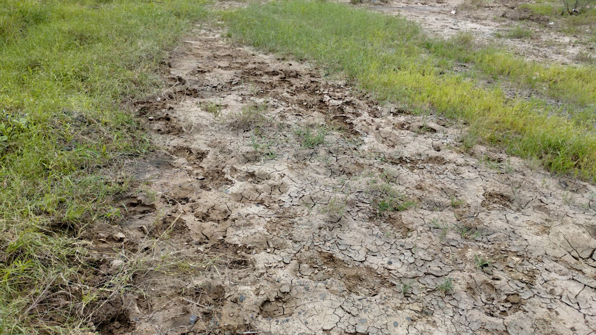 29200 square meter OPEN PLOT FOR INDUSTRIAL USE for sale in MALVAN Surendranagar — photo 7