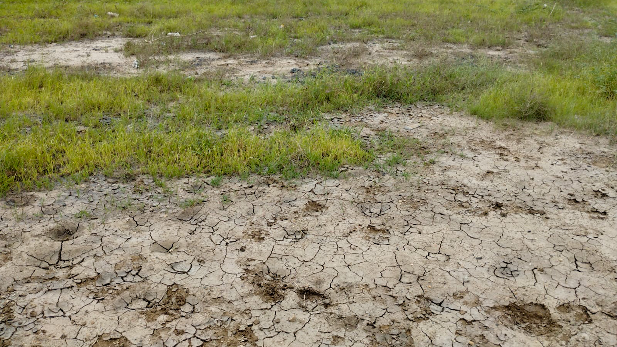 29200 square meter OPEN PLOT FOR INDUSTRIAL USE for sale in MALVAN Surendranagar — photo 8