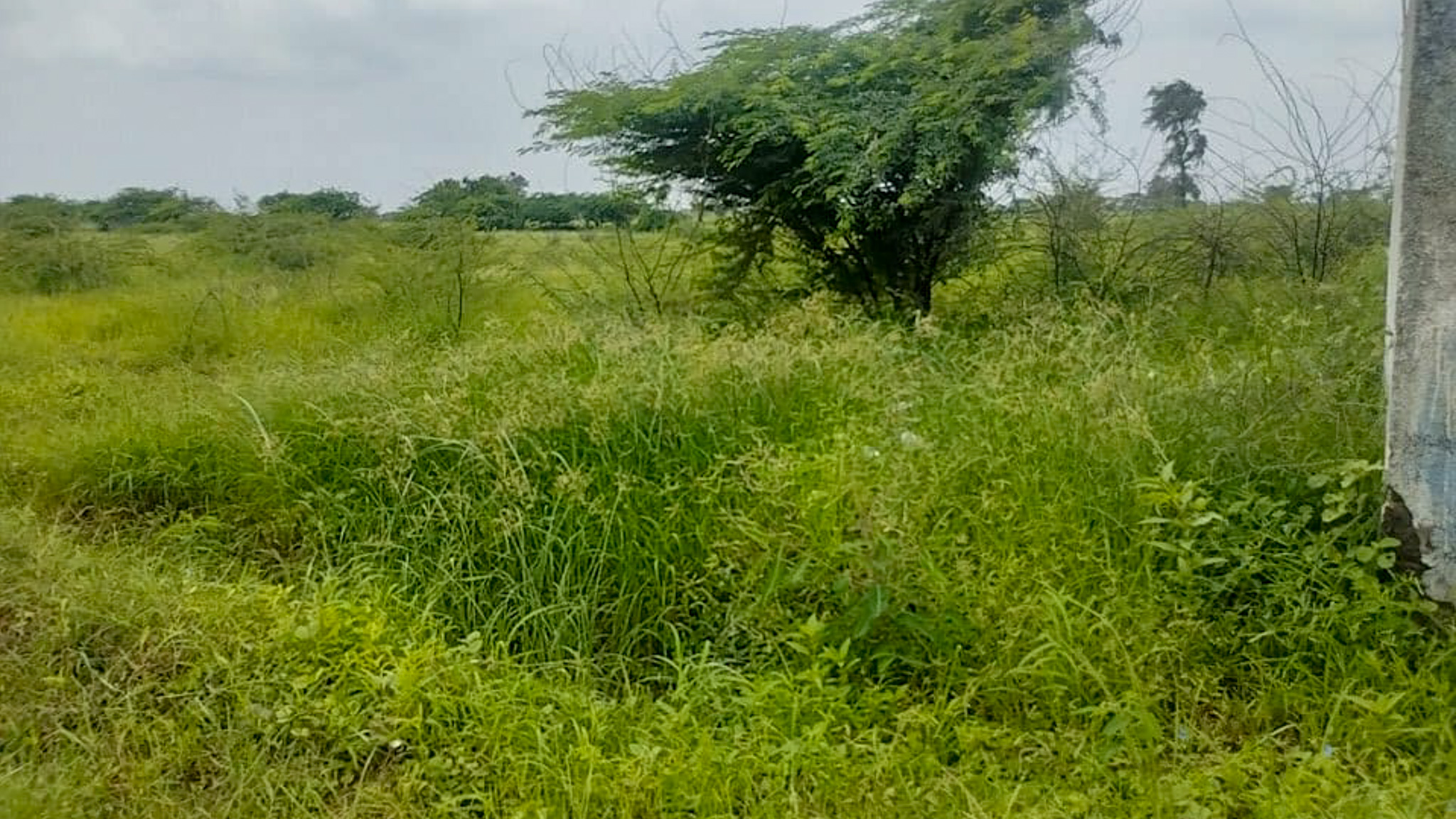 29200 square meter OPEN PLOT FOR INDUSTRIAL USE for sale in MALVAN Surendranagar — photo 13