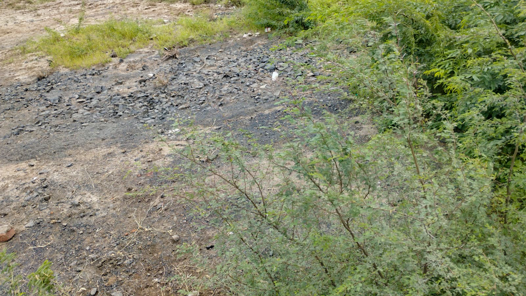 29200 square meter OPEN PLOT FOR INDUSTRIAL USE for sale in MALVAN Surendranagar — photo 20